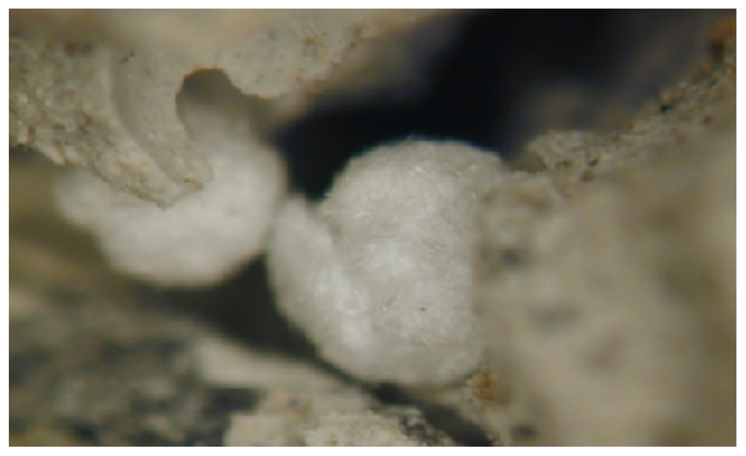 Materials 15 05708 g003 Materials 15 05708 g003