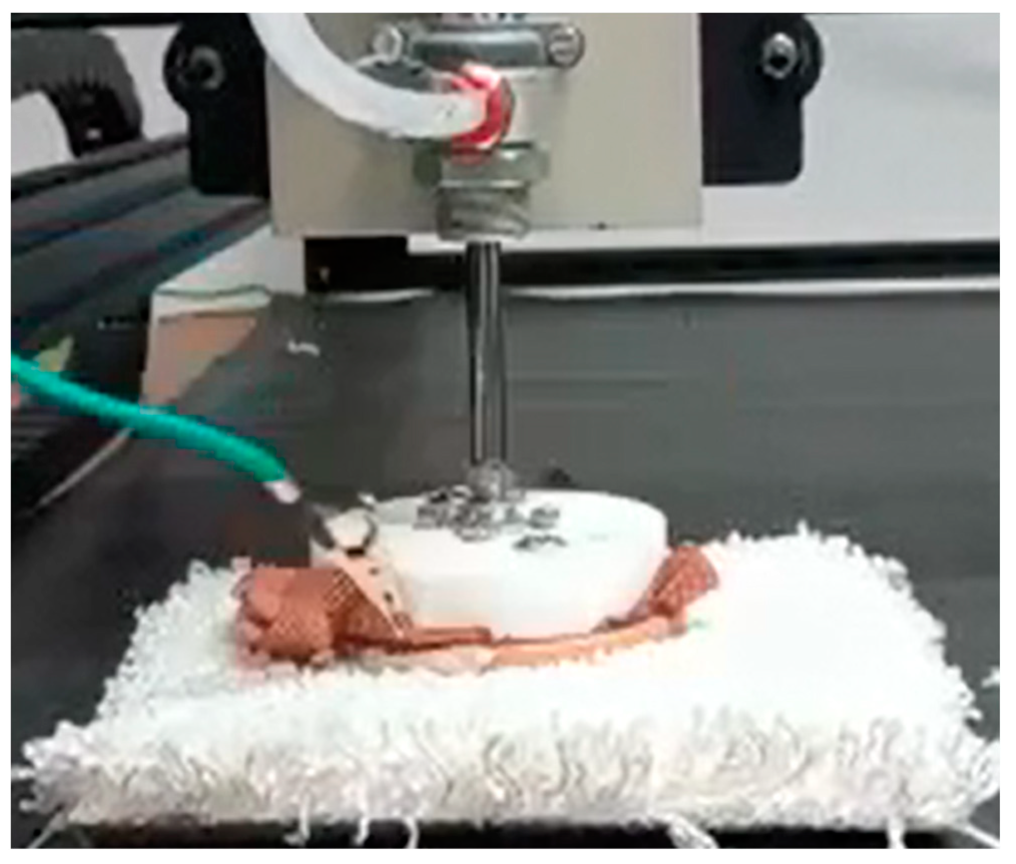 Materials 15 05716 g004 550