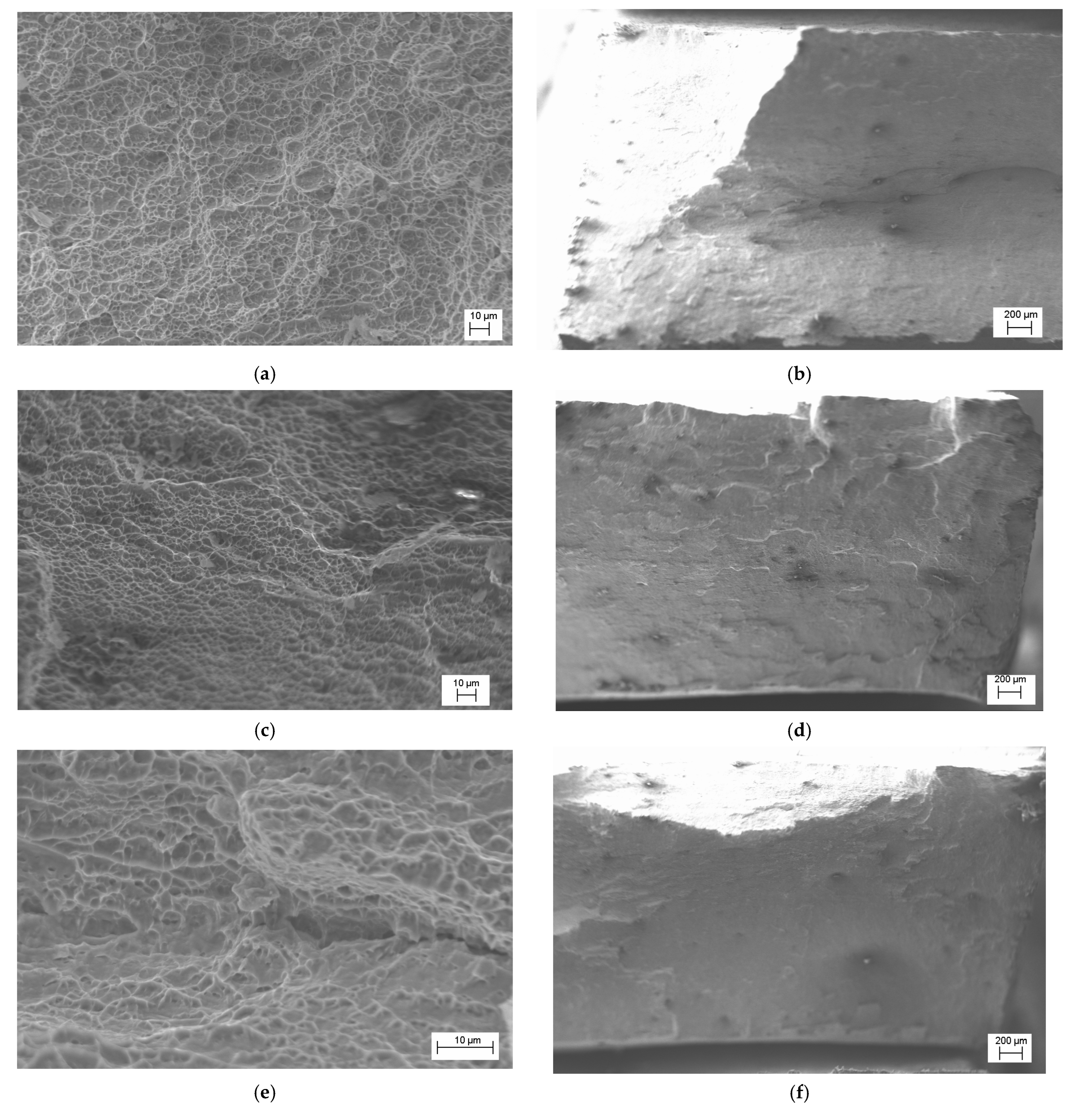 Materials 15 05718 g005 550