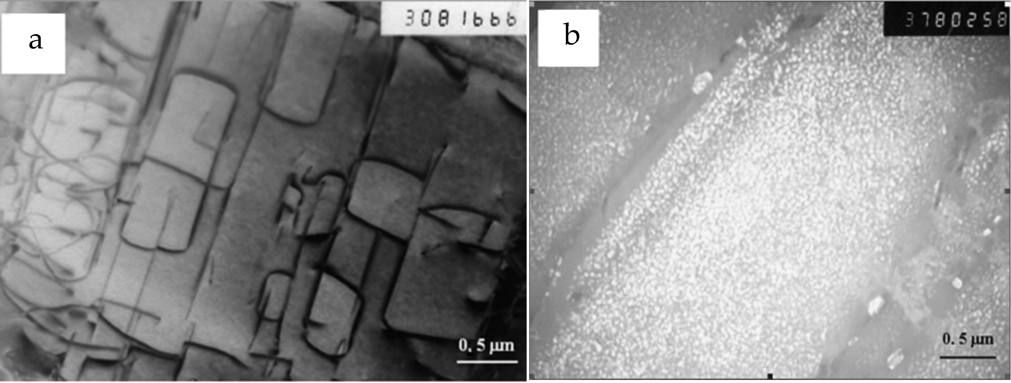 Materials 15 05722 g006 550