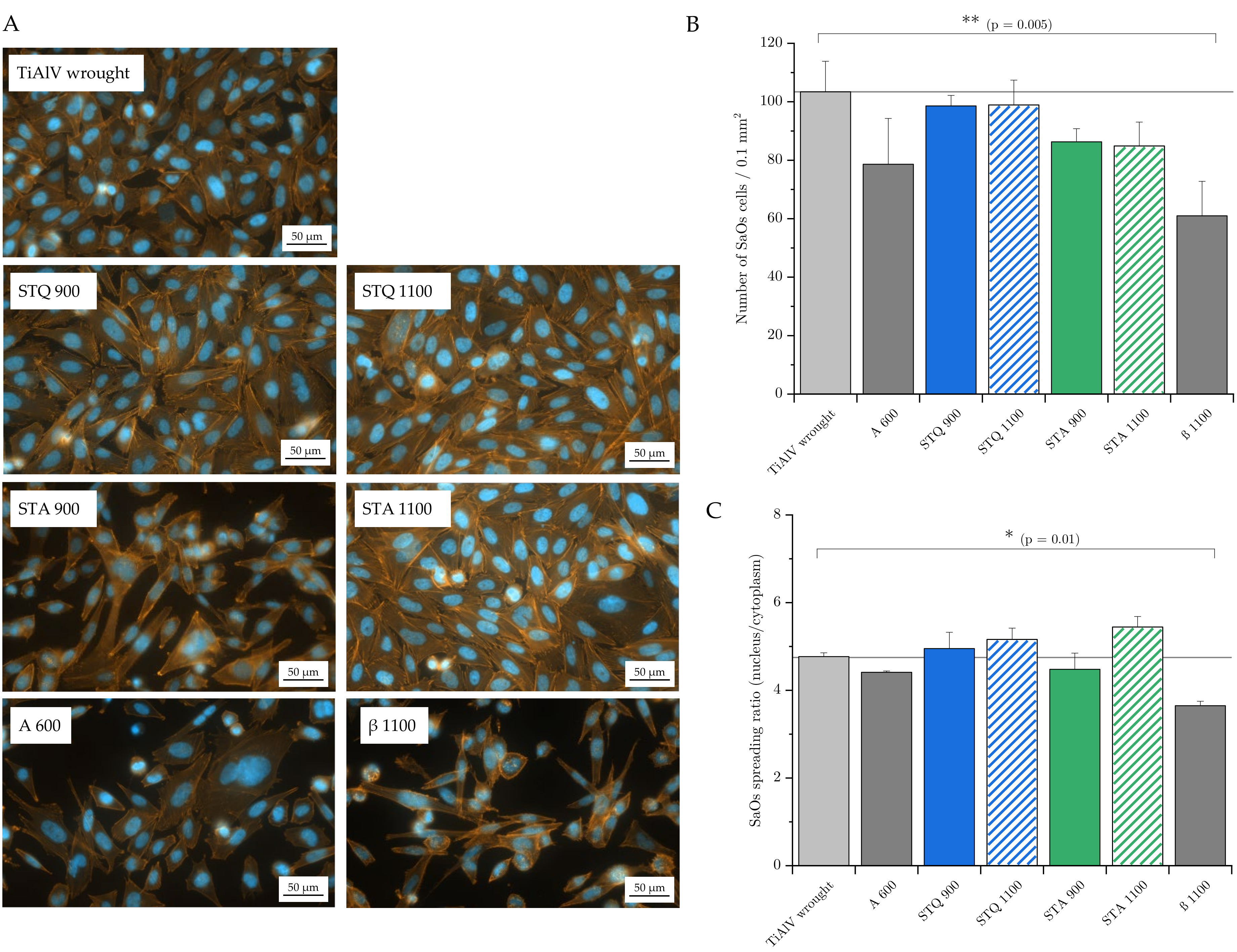 Materials 15 05733 g008 Materials 15 05733 g008