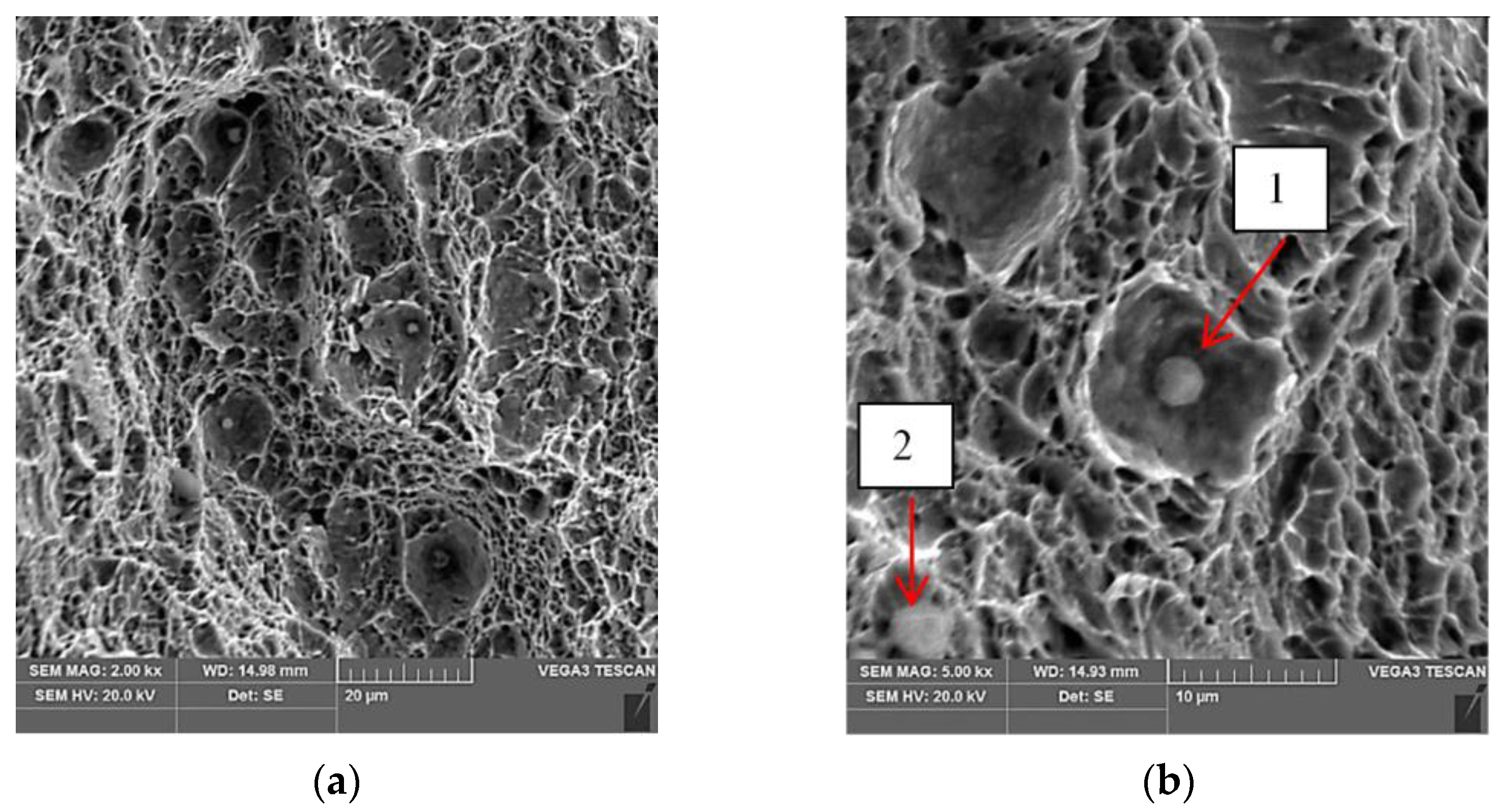 Materials 15 05756 g009