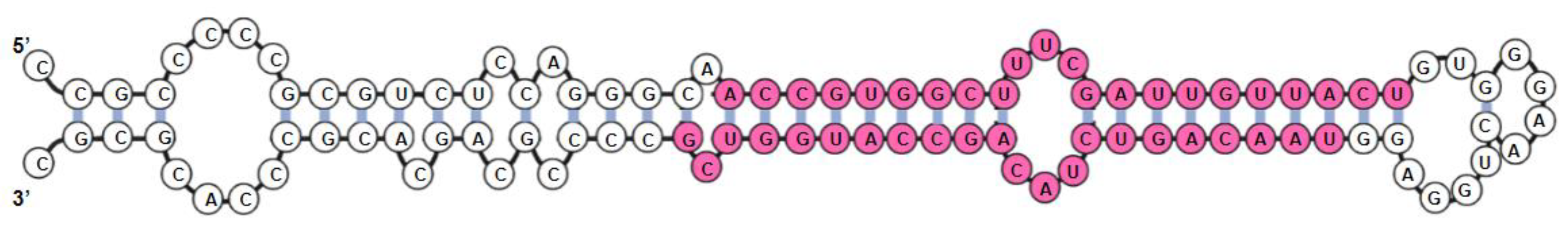 Materials 15 05760 g001