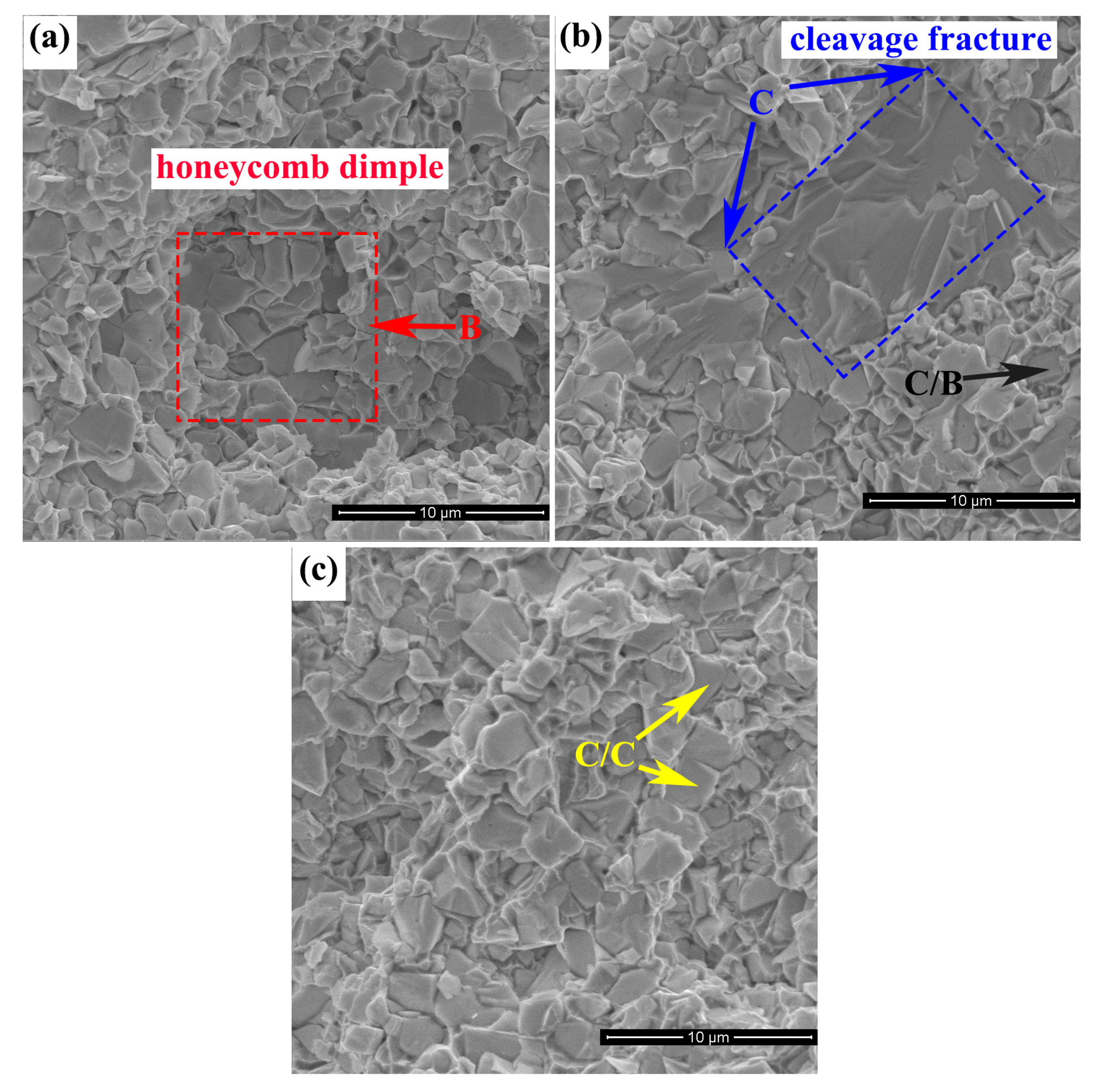 Materials 15 05780 g008 550