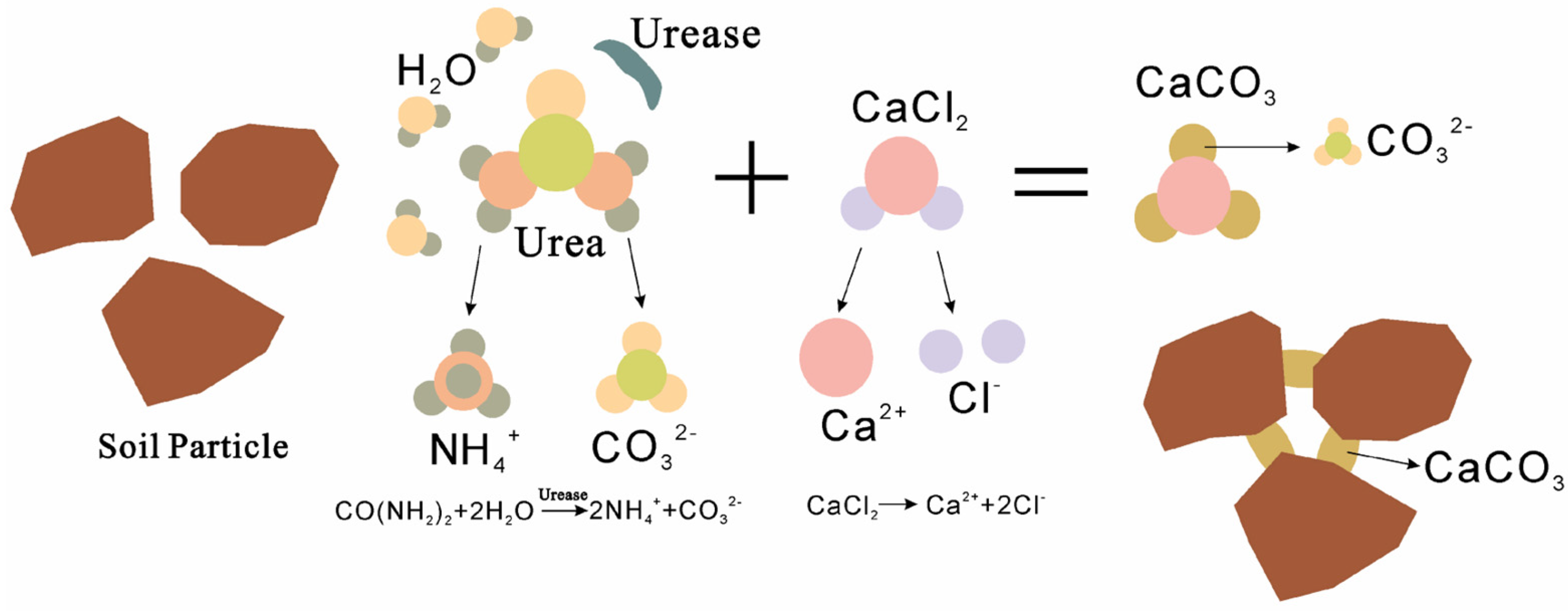 Materials Free FullText The Effect of Nucleating Agents on Enzyme