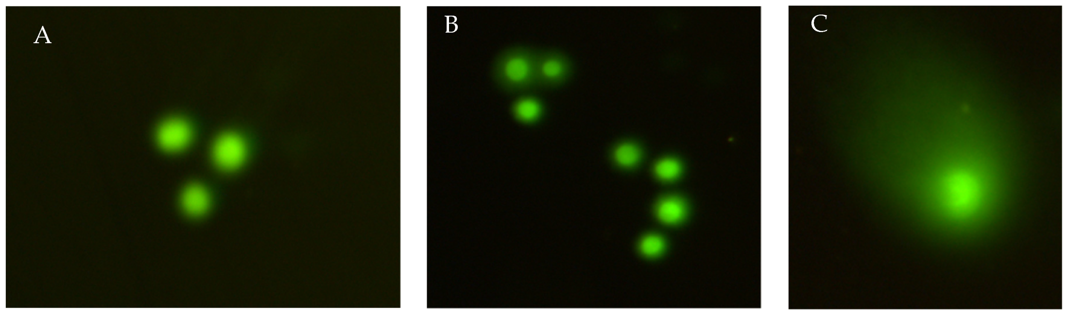 Materials 15 05826 g006 550