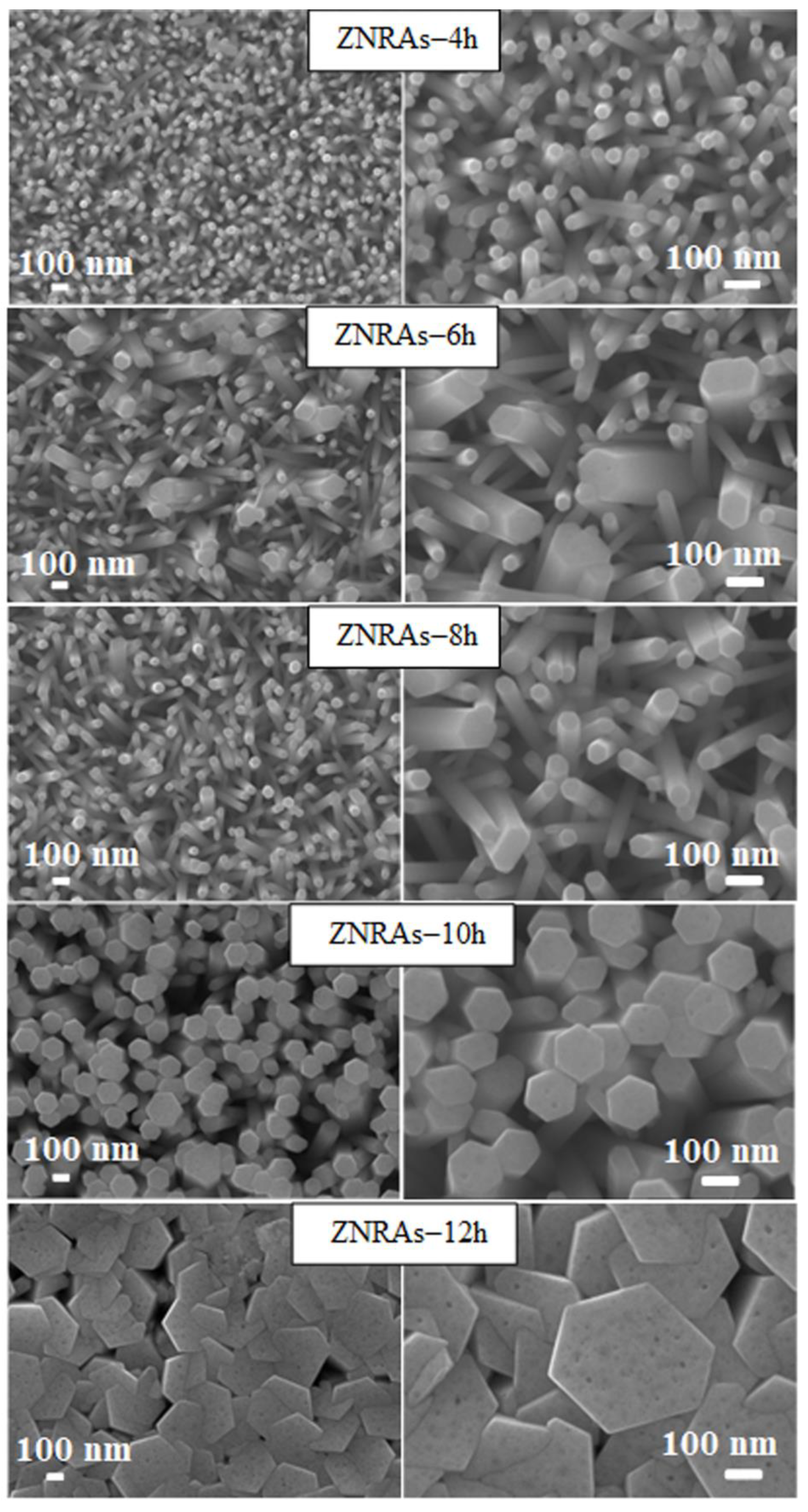 Materials 15 05827 g004 Materials 15 05827 g004