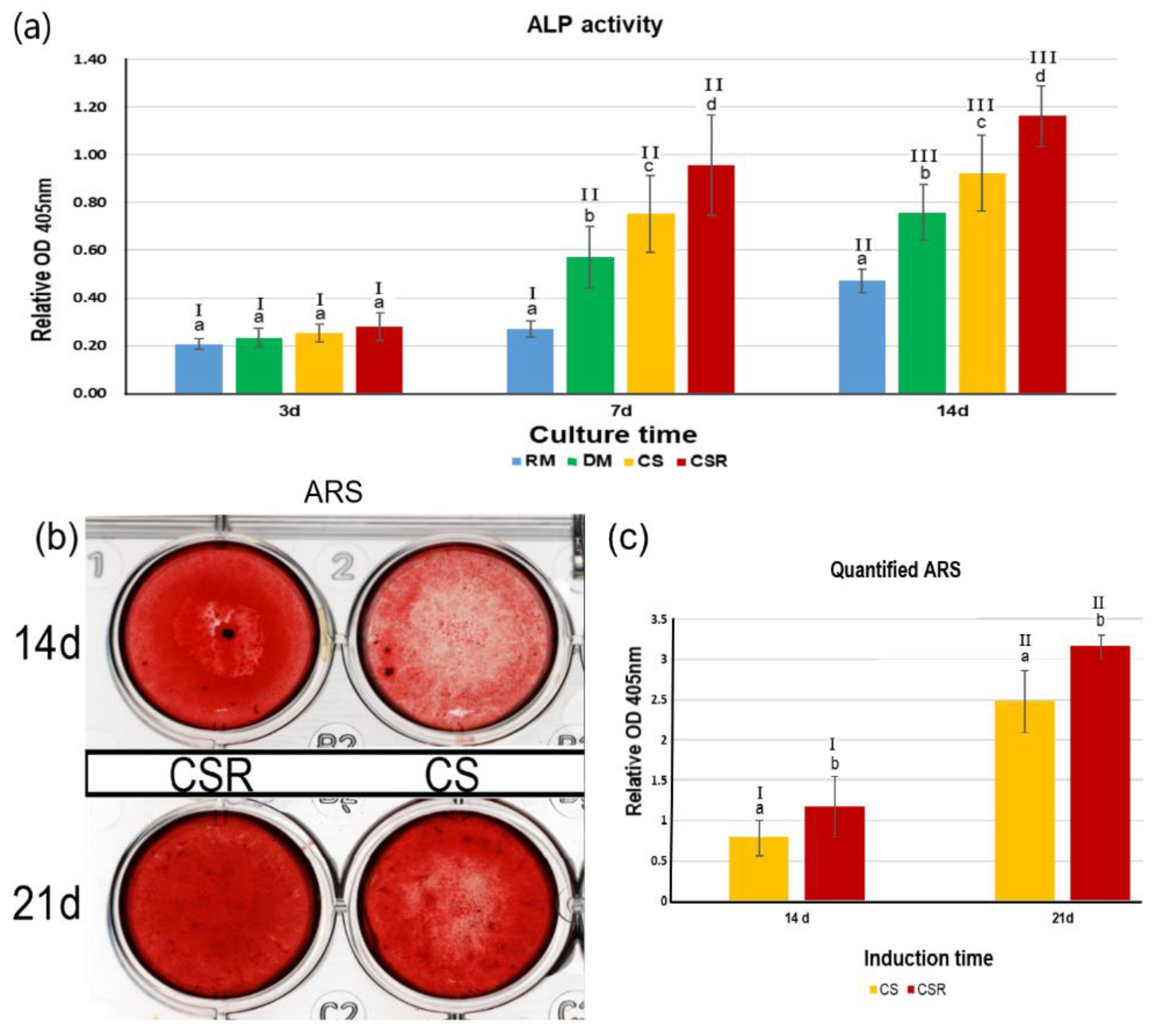 Materials 15 05854 g007 550