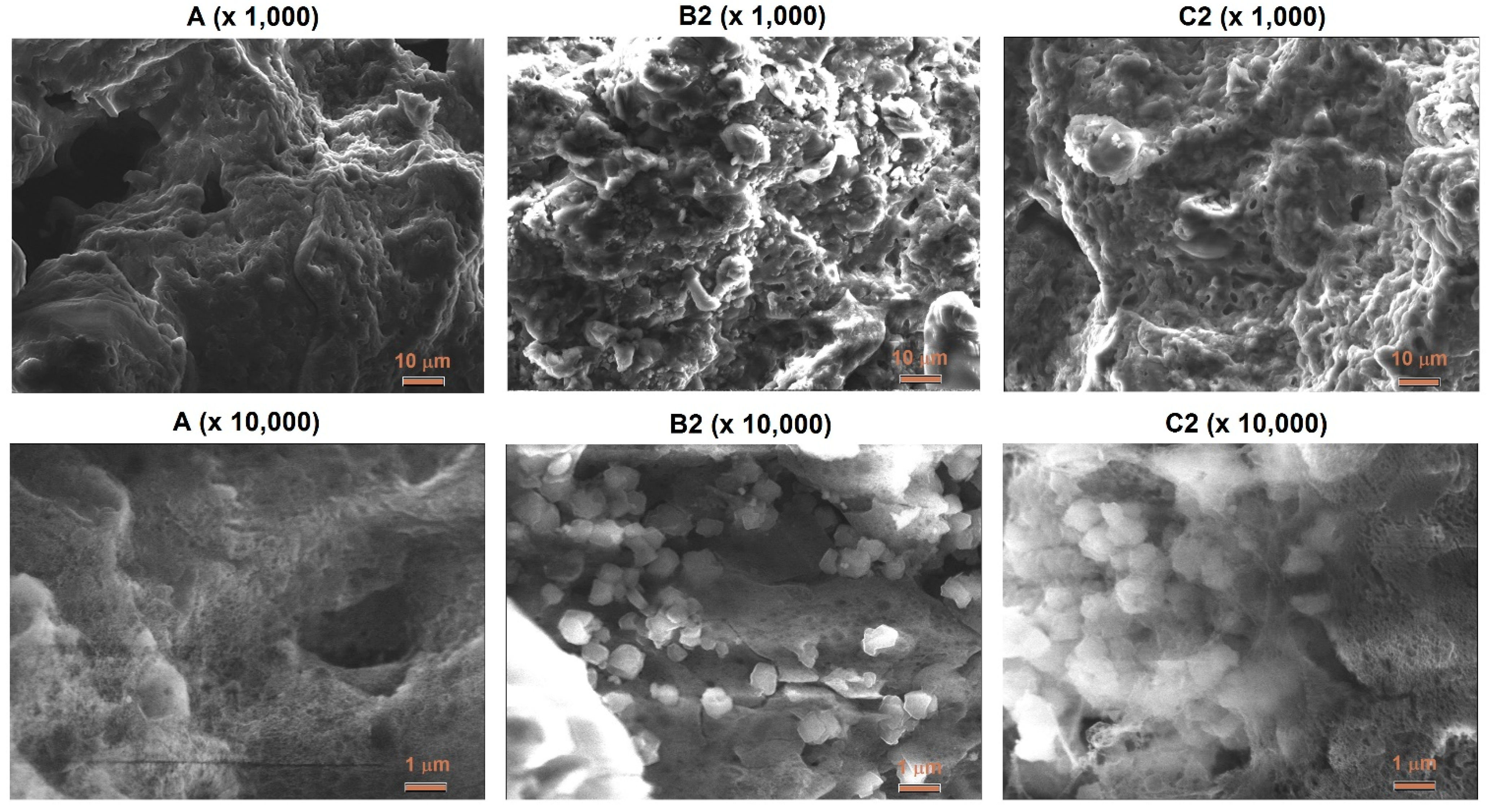 Materials 15 05855 g005 Materials 15 05855 g005