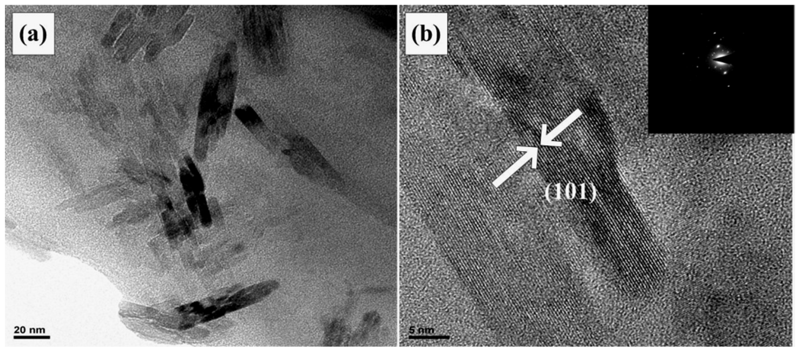 Materials 15 05875 g004 550