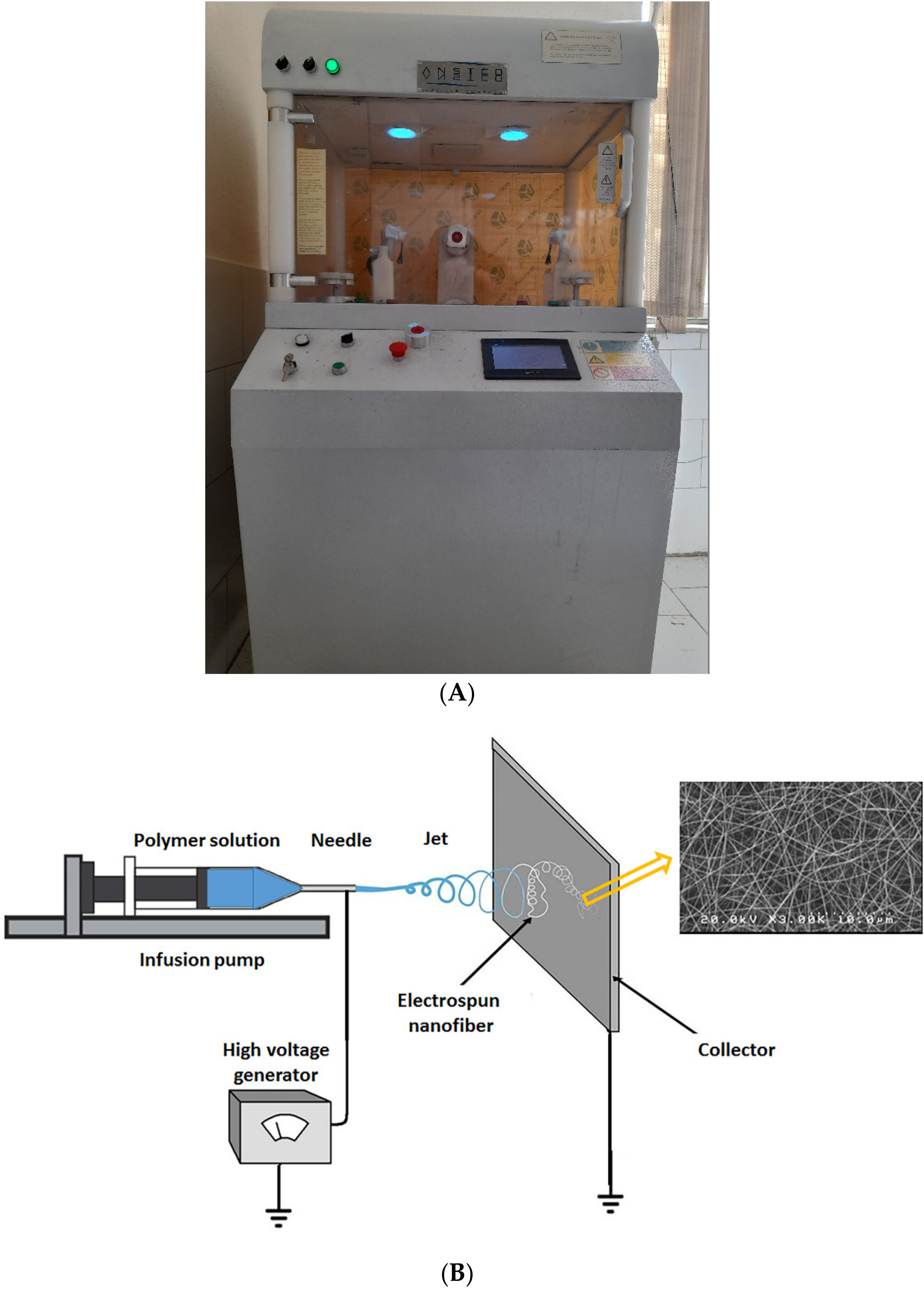 Materials 15 05876 g001
