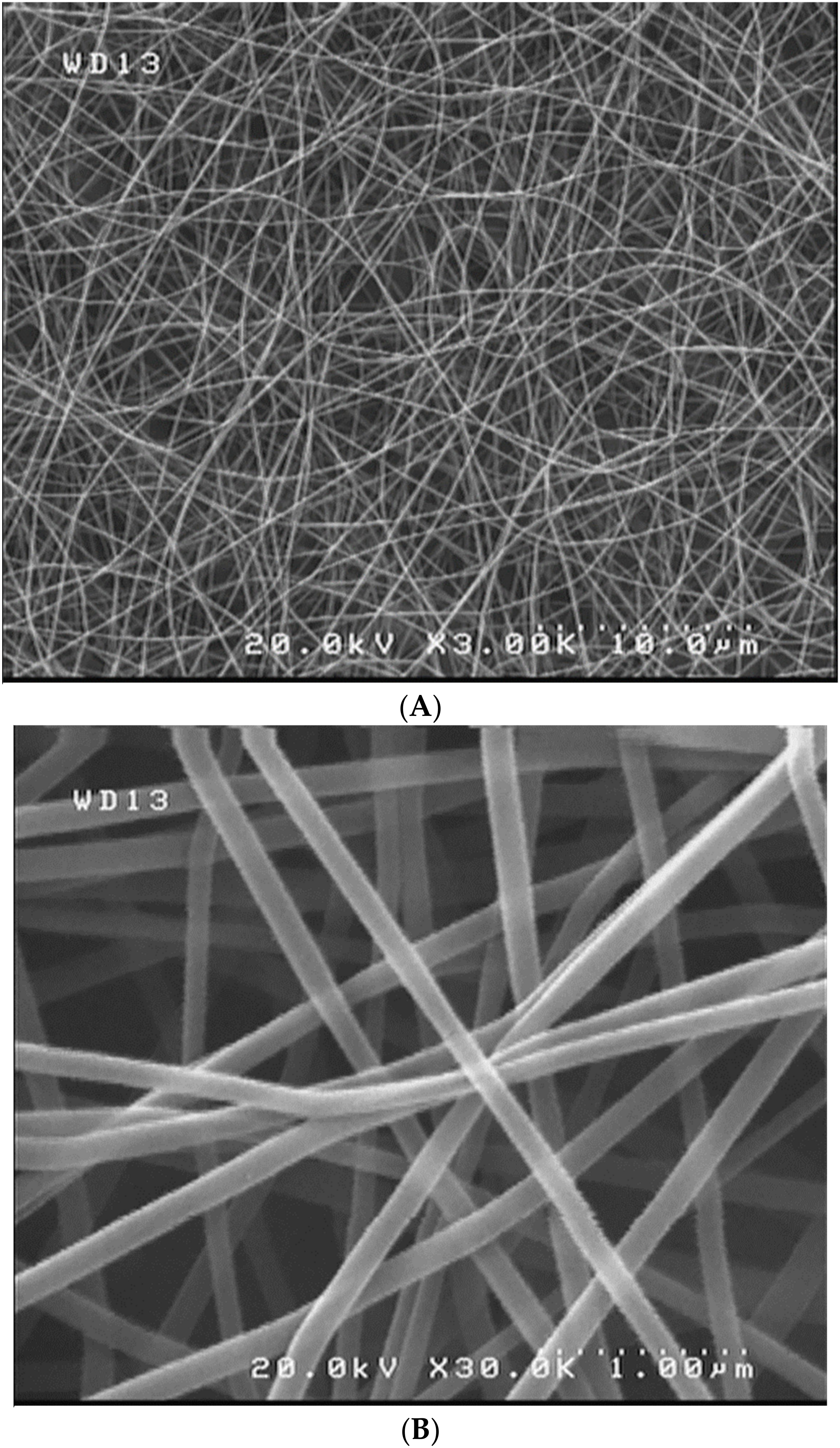 Materials 15 05876 g008