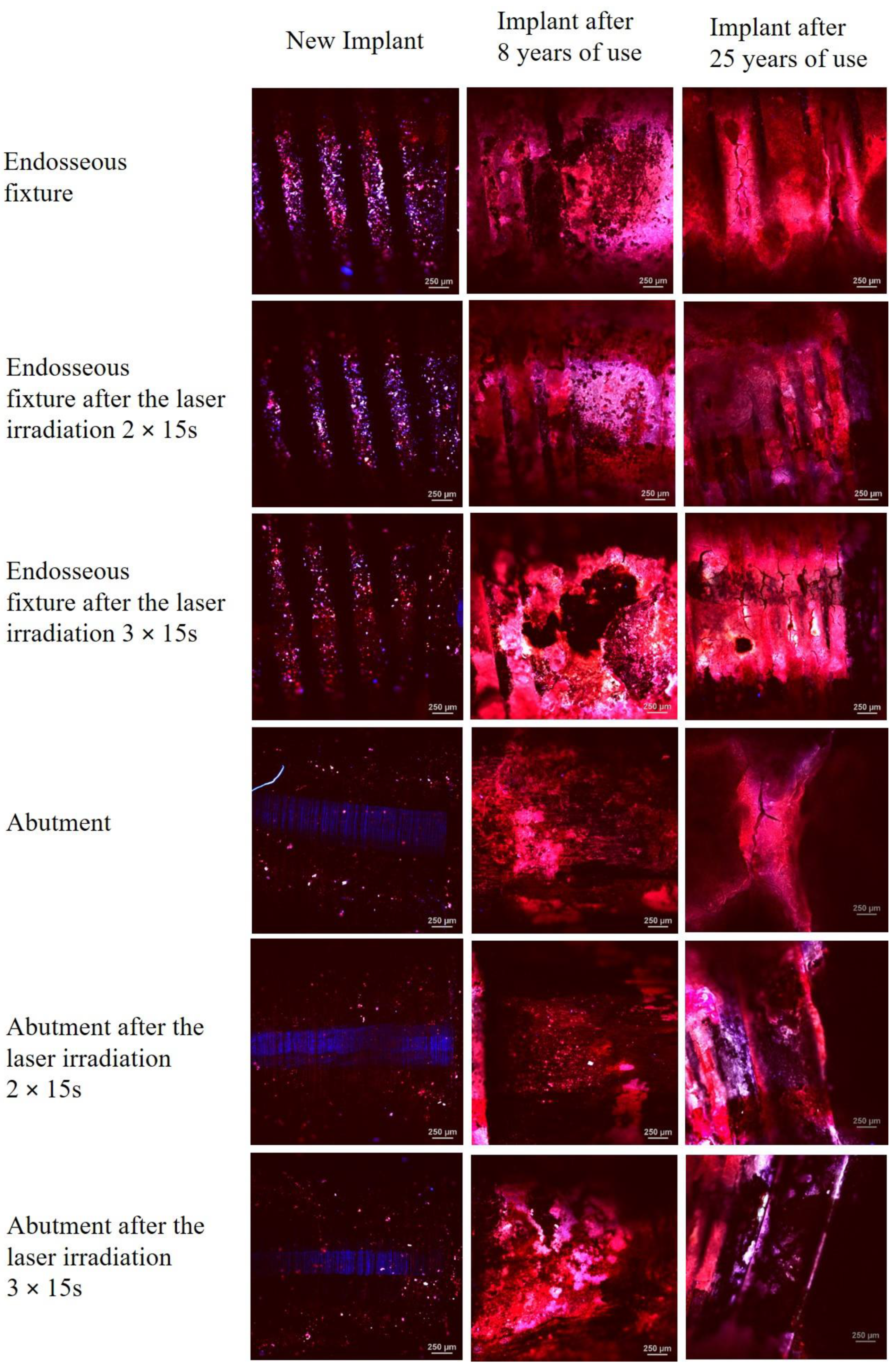 Materials 15 05890 g005 550