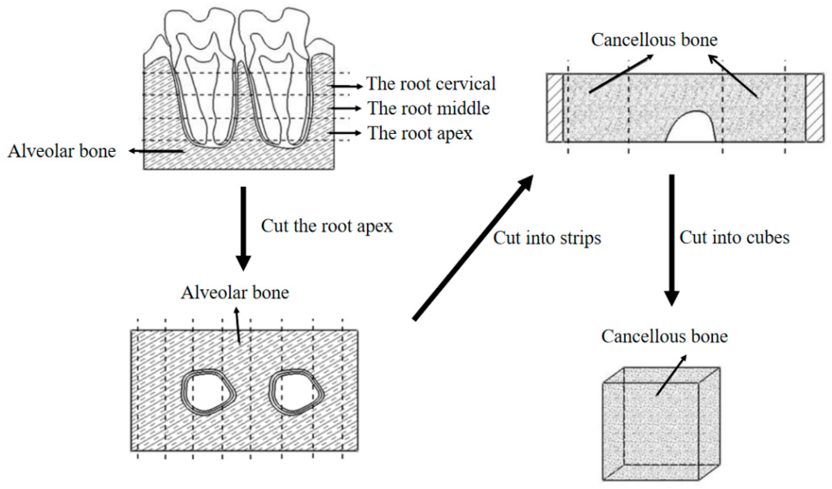 Materials 15 05912 g001