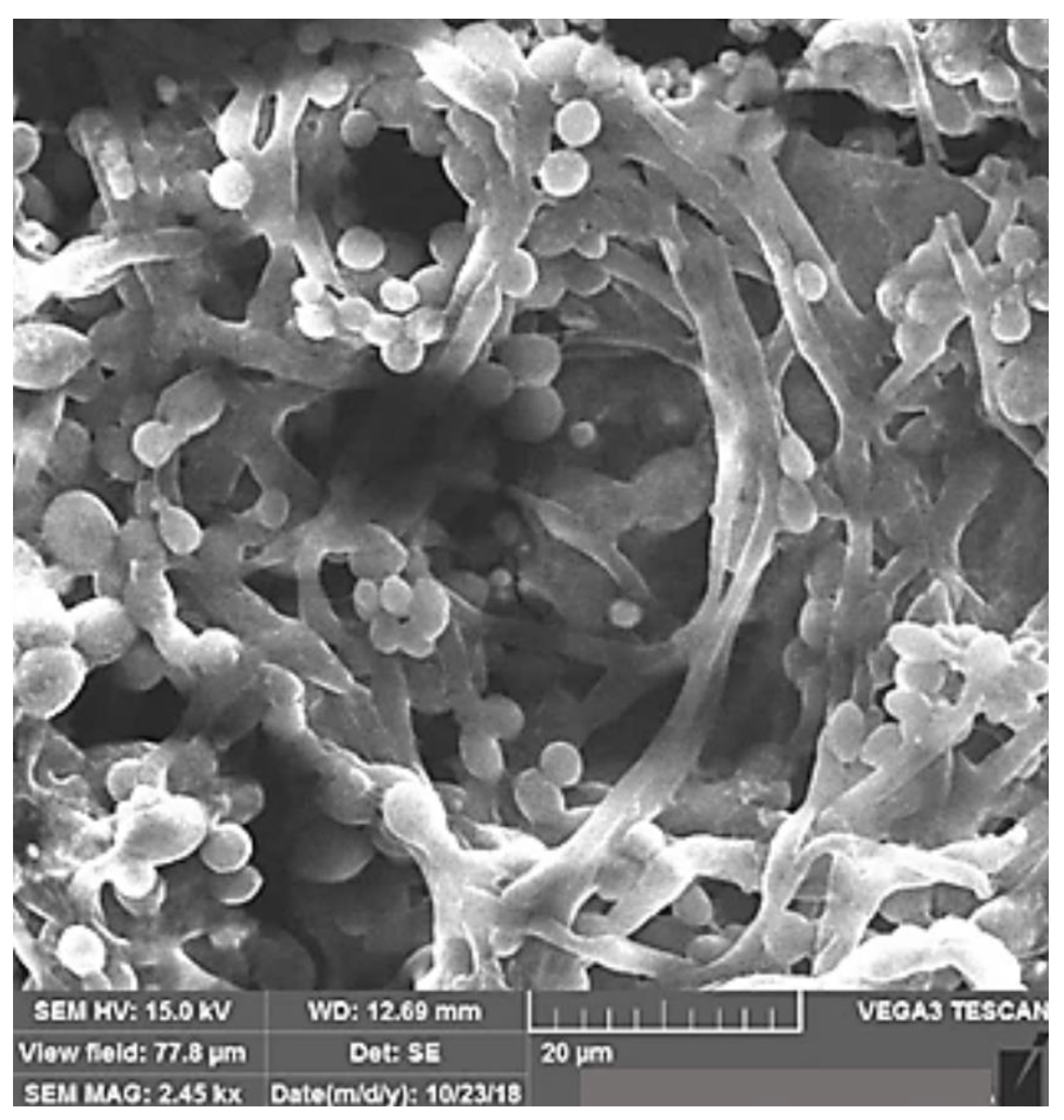 Materials 15 05925 g030