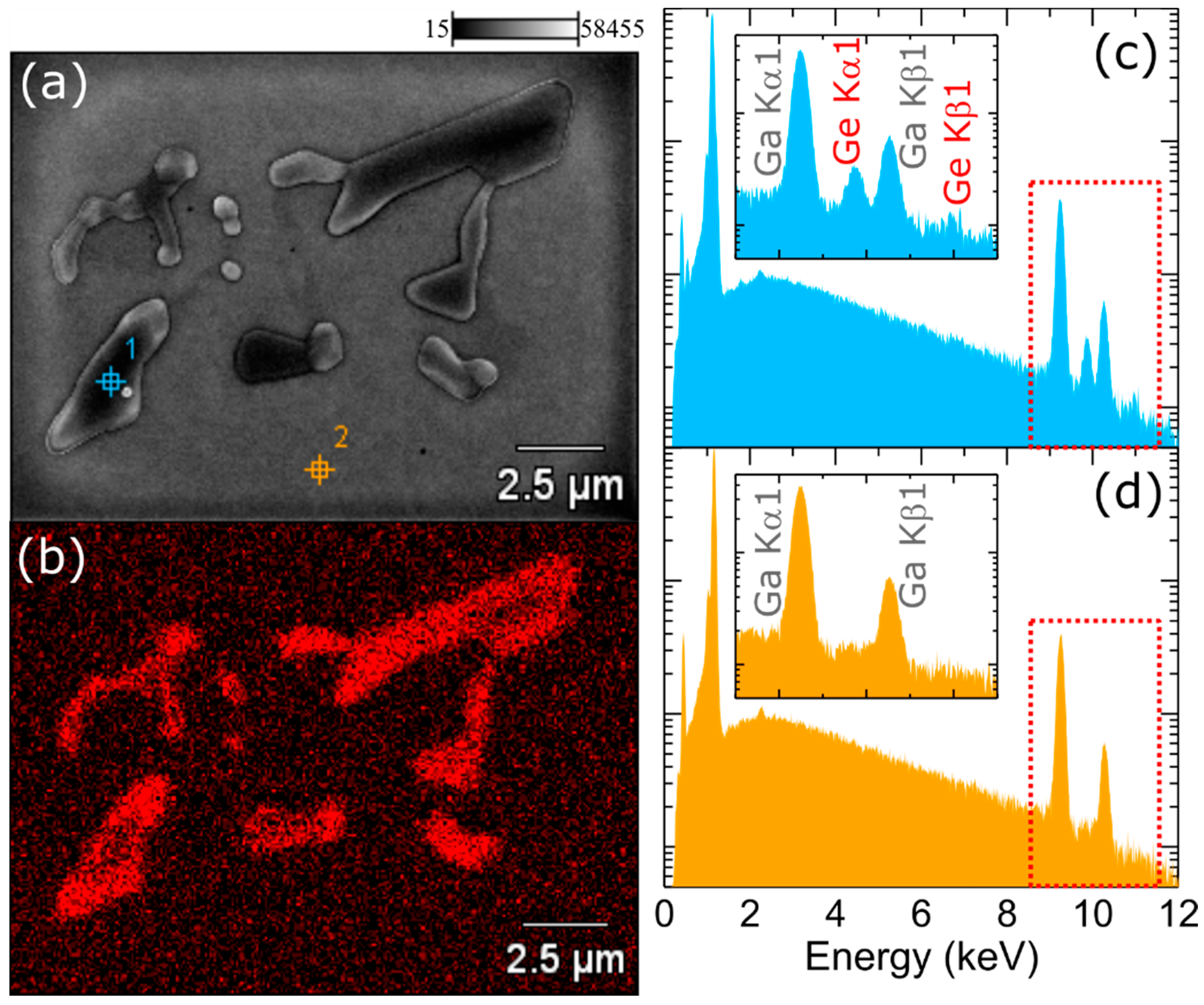 Materials 15 05929 g003 550
