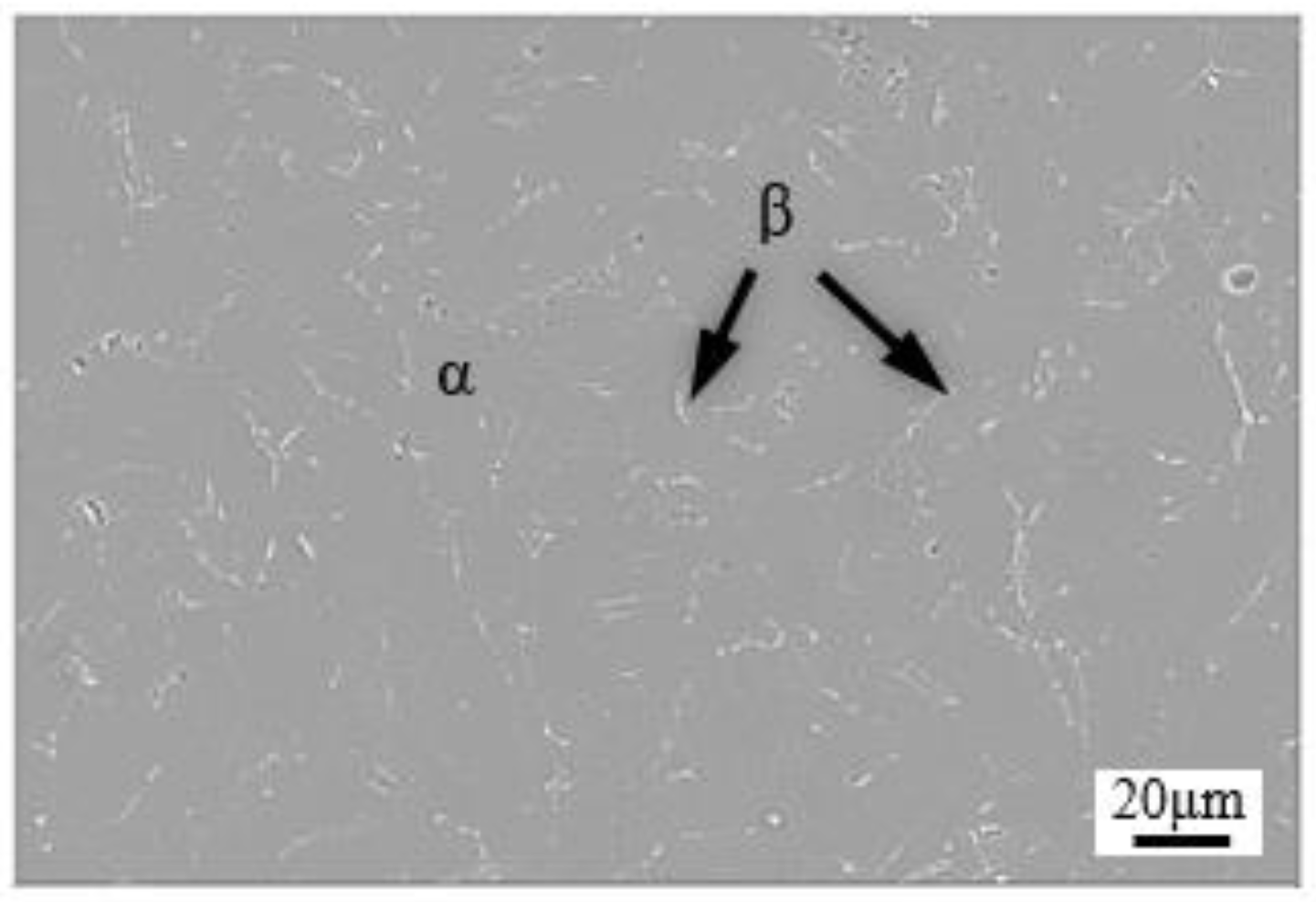 Materials 15 05932 g001