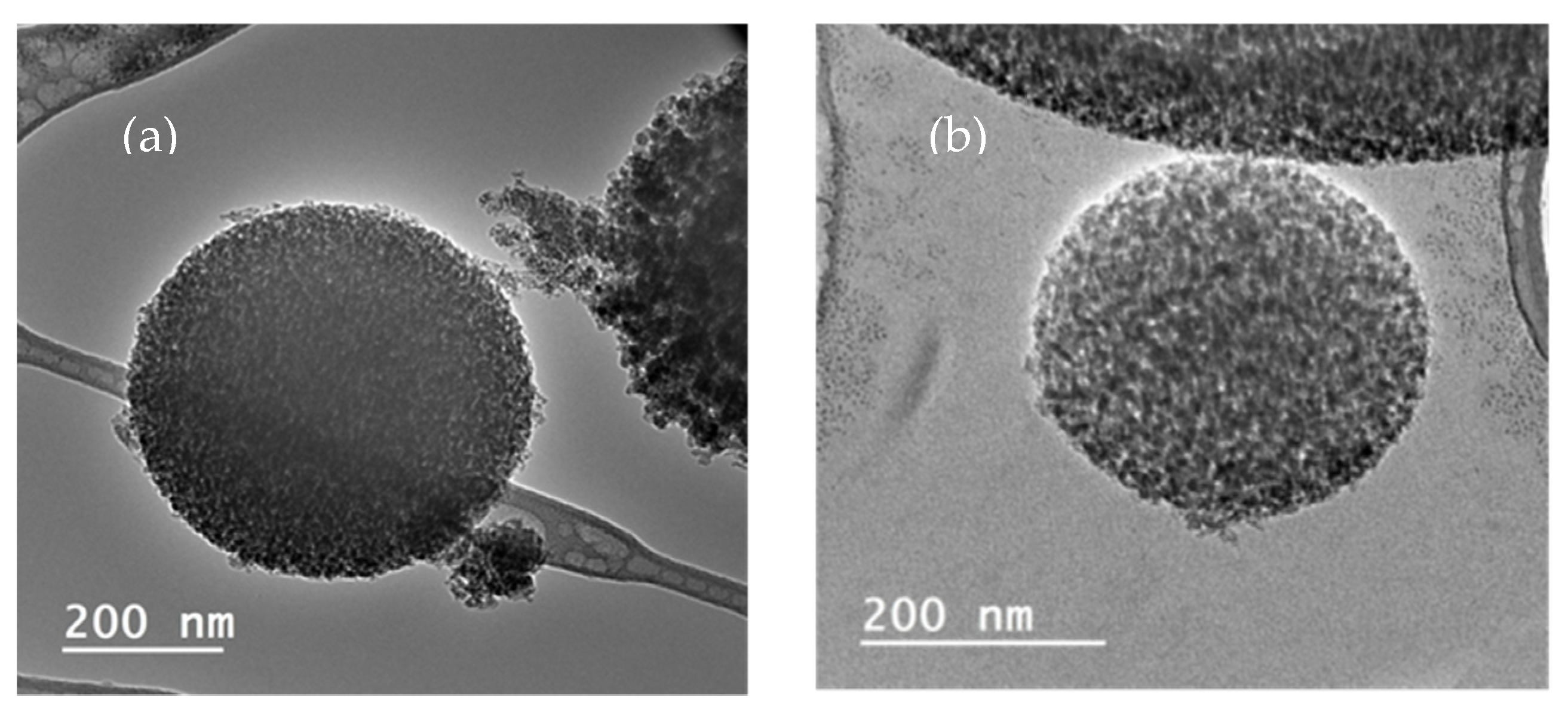 Materials 15 05934 g010 550