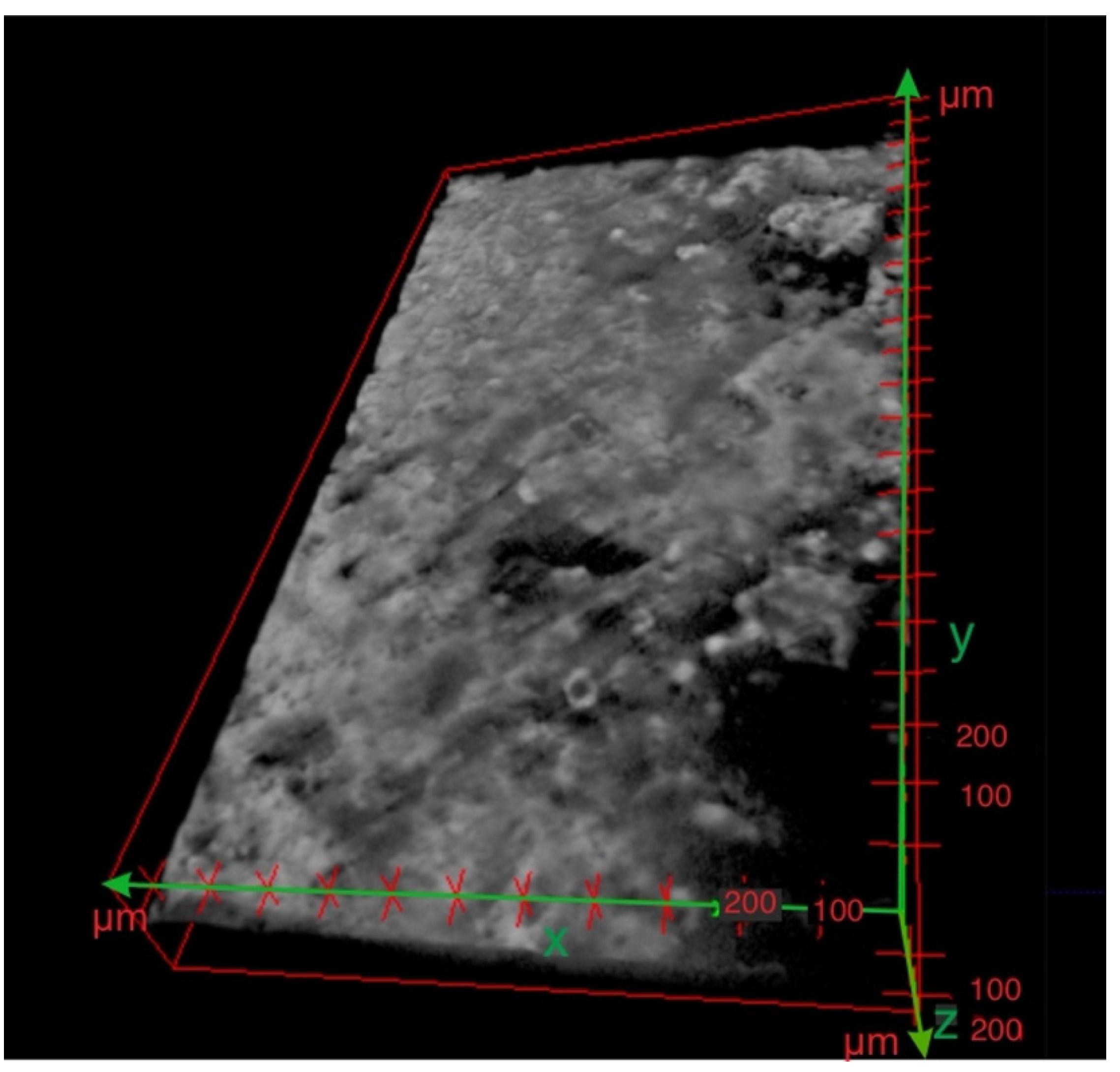 Materials 15 05935 g011 550