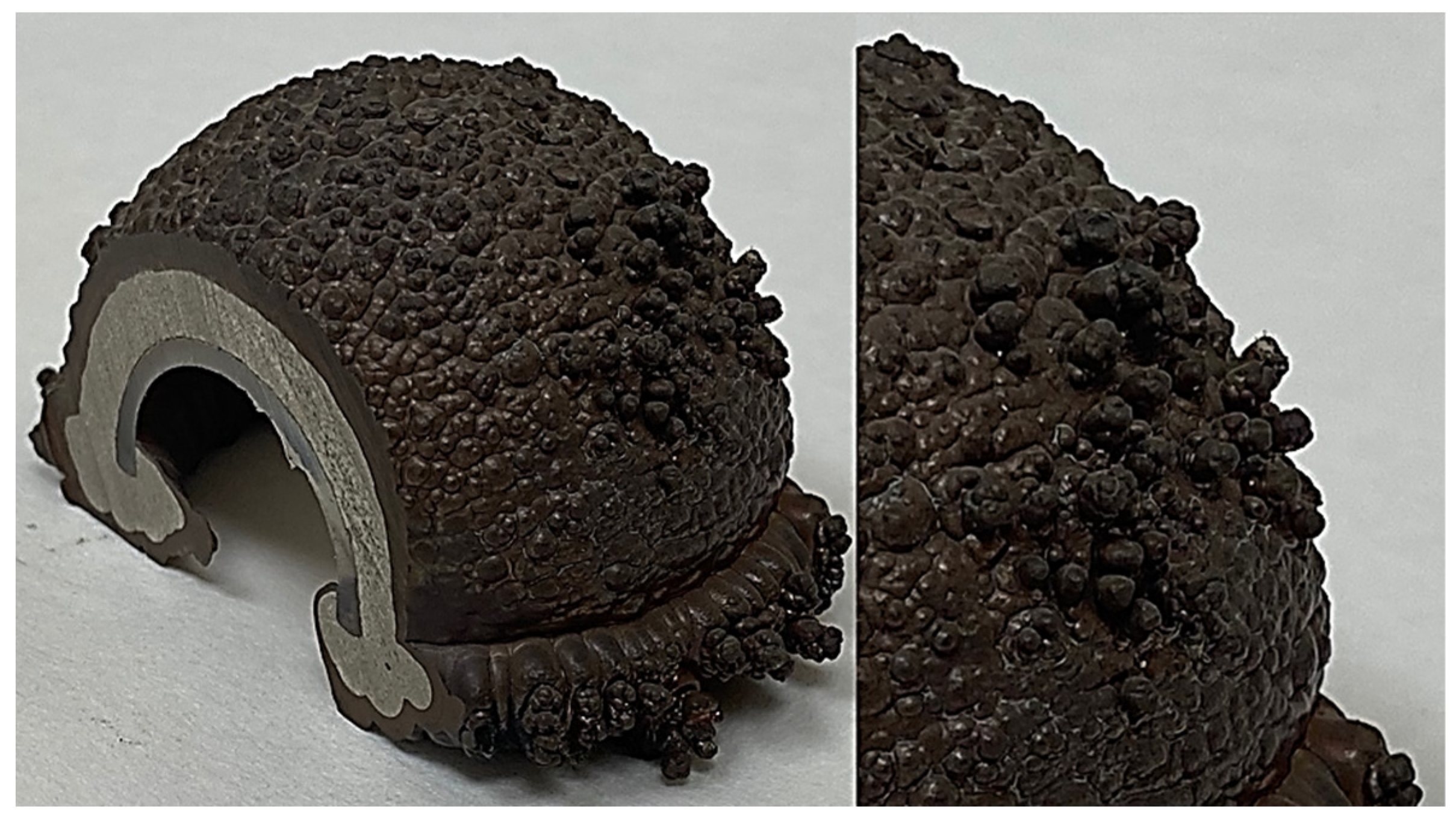 Materials 15 05953 g002 550