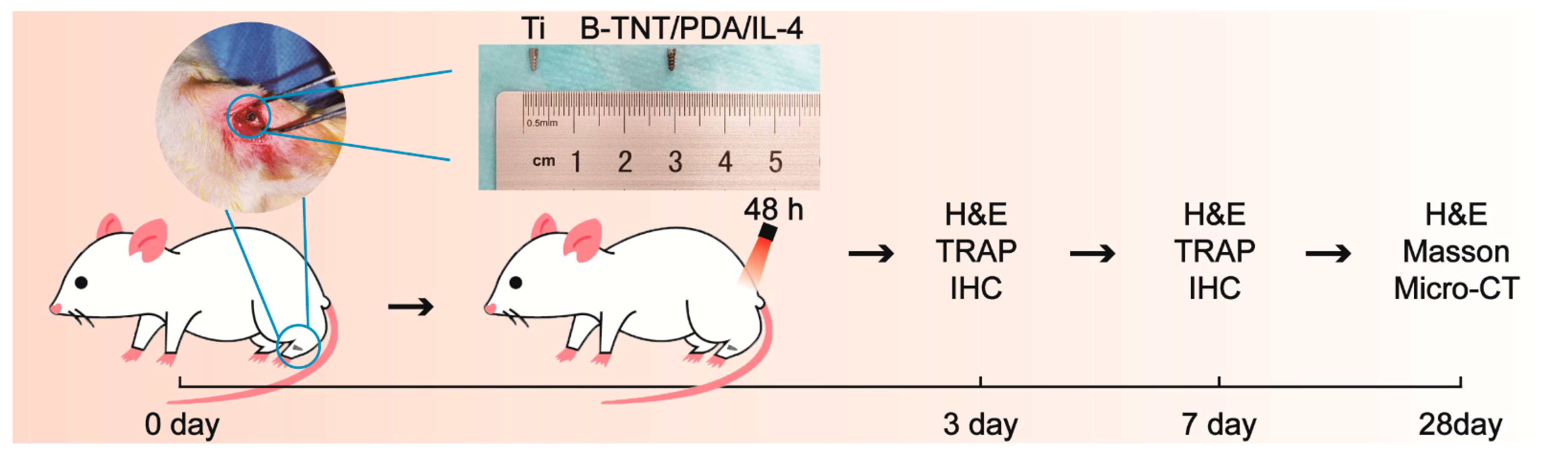 Materials 15 05962 g006 550