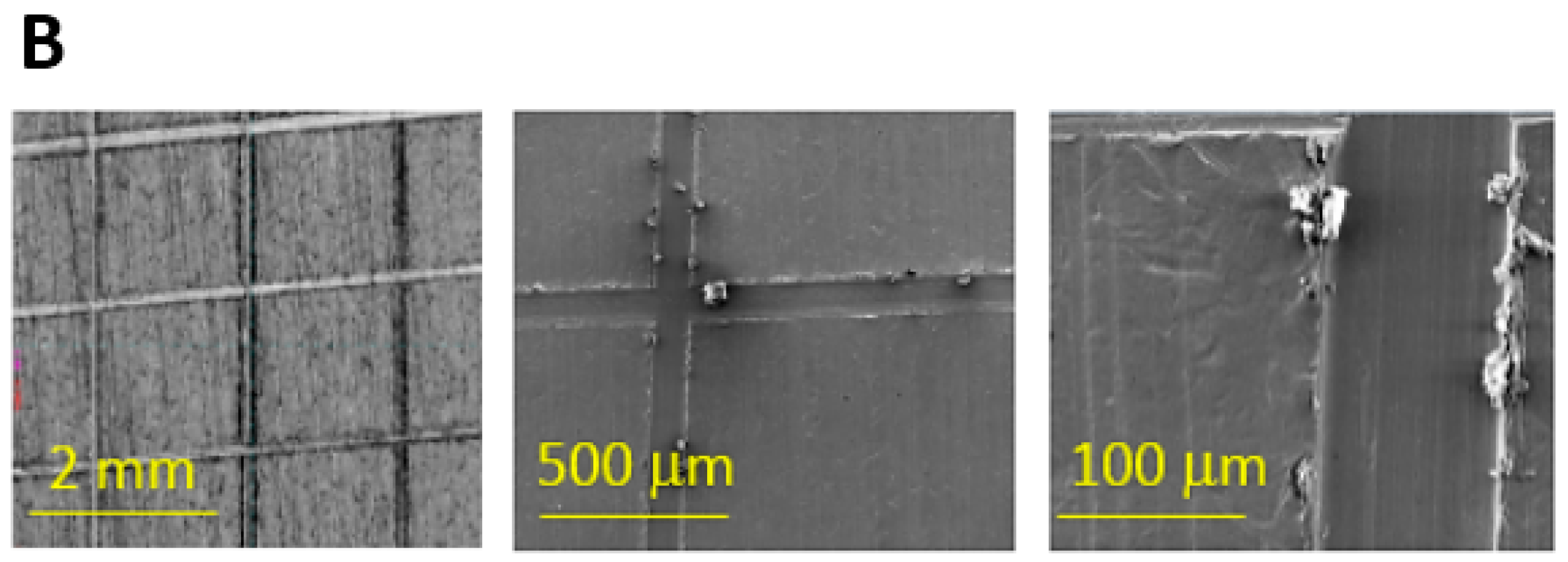 Materials 15 05968 g003b