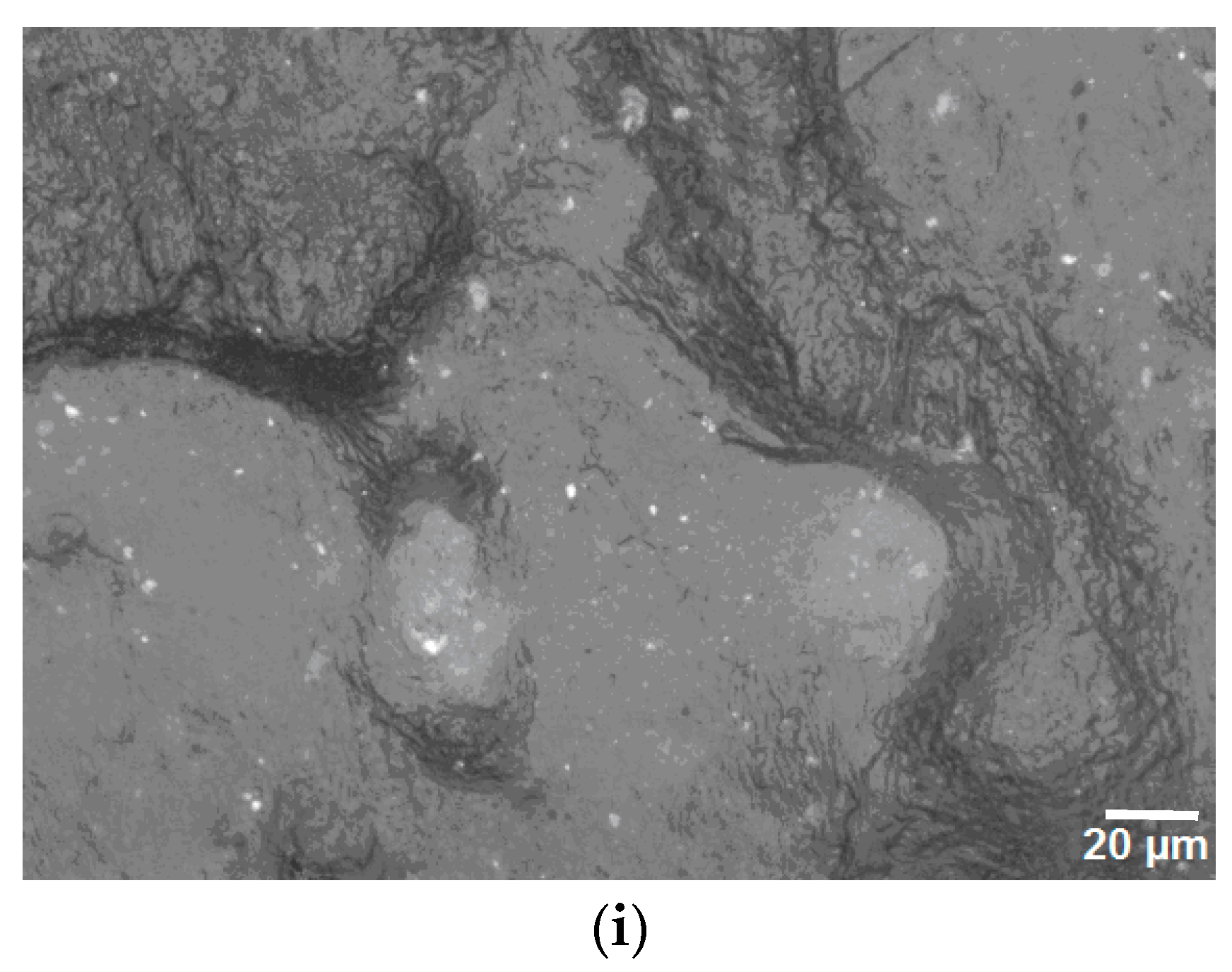 Materials 15 05978 g005b 550