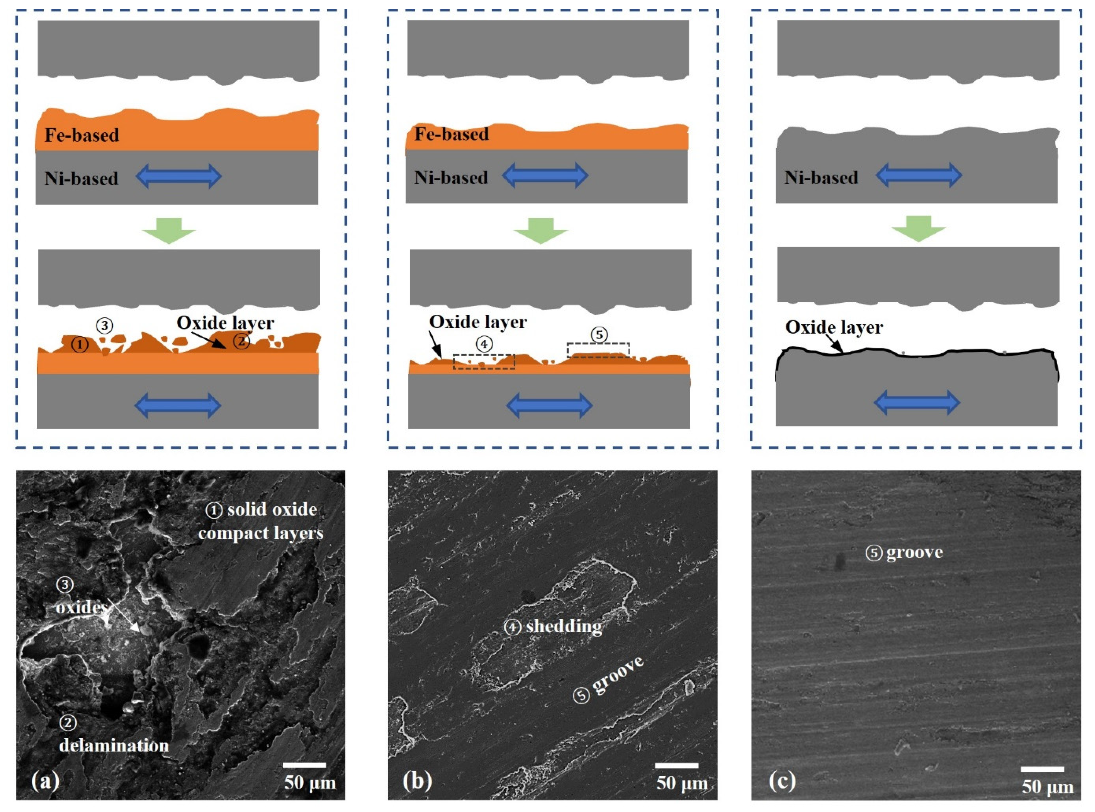 Materials 15 06020 g012