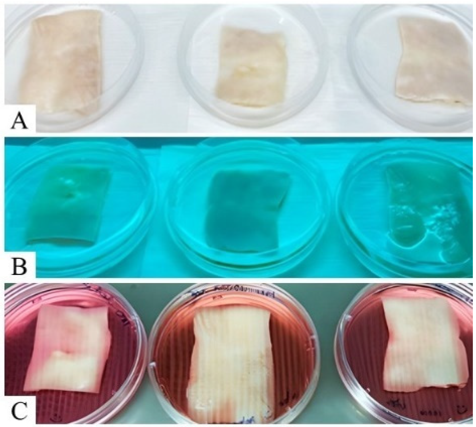 Materials 15 06027 g001