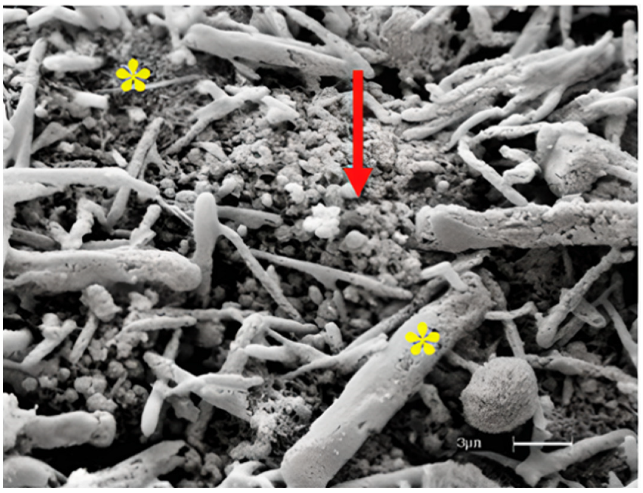 Materials 15 06027 g004