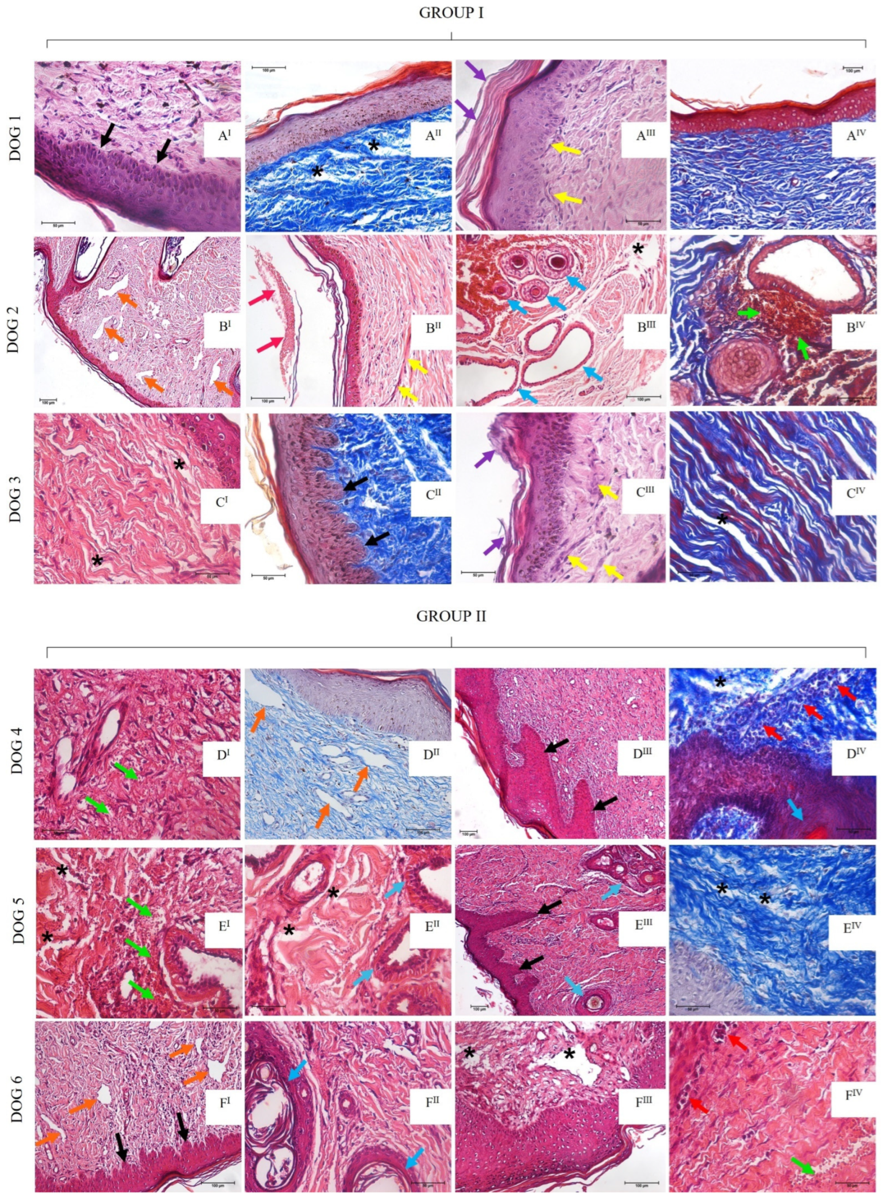 Materials 15 06027 g008