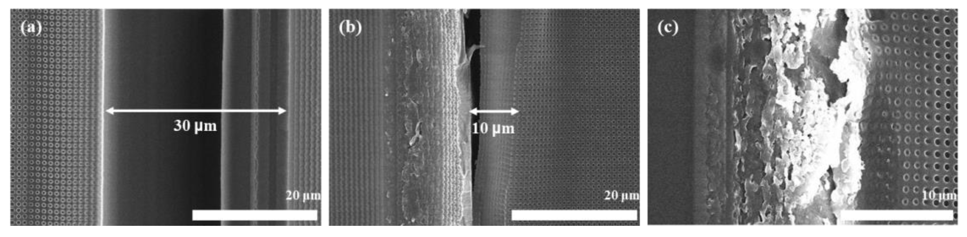 Materials 15 06036 g007 550