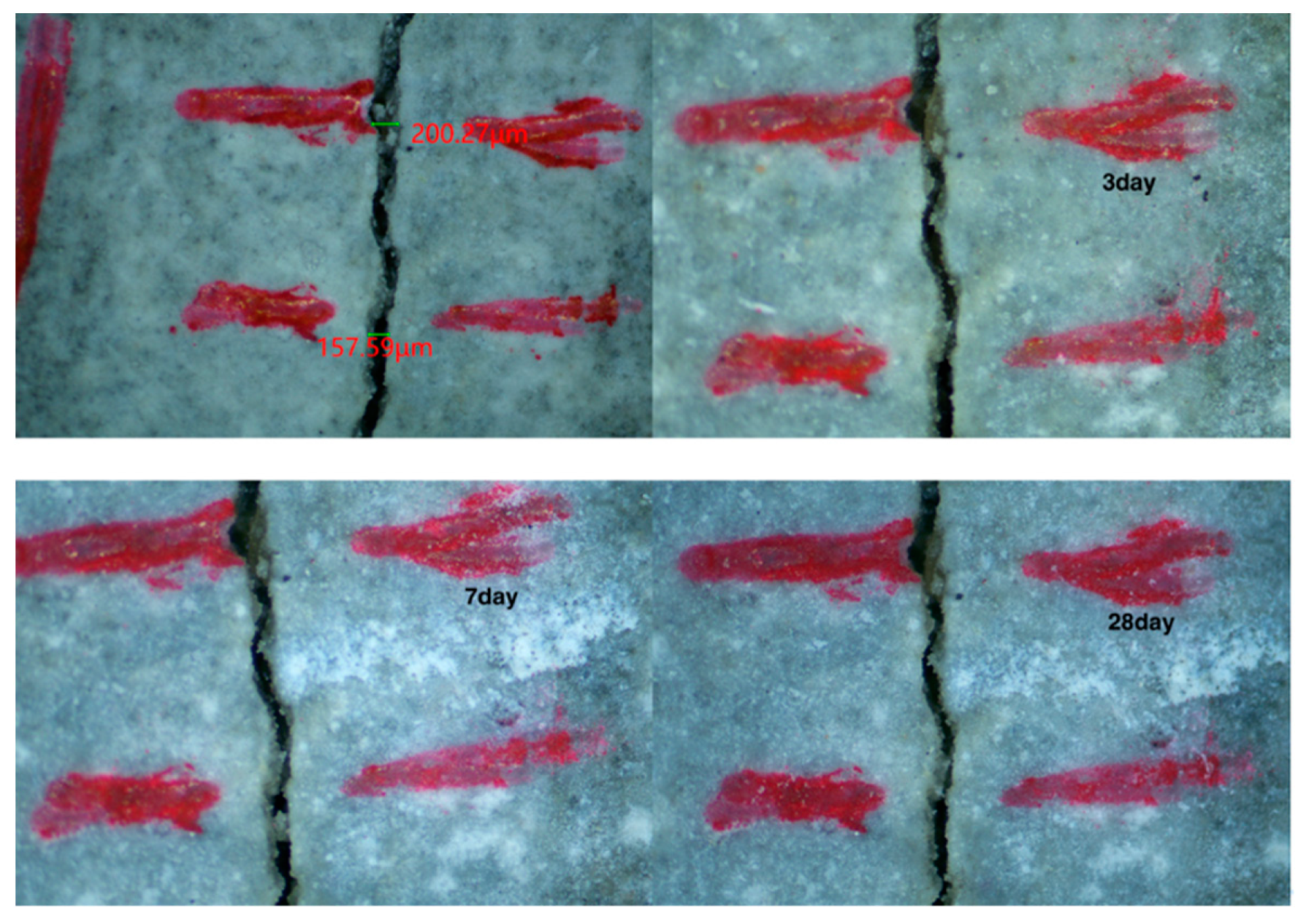 Materials 15 06040 g005