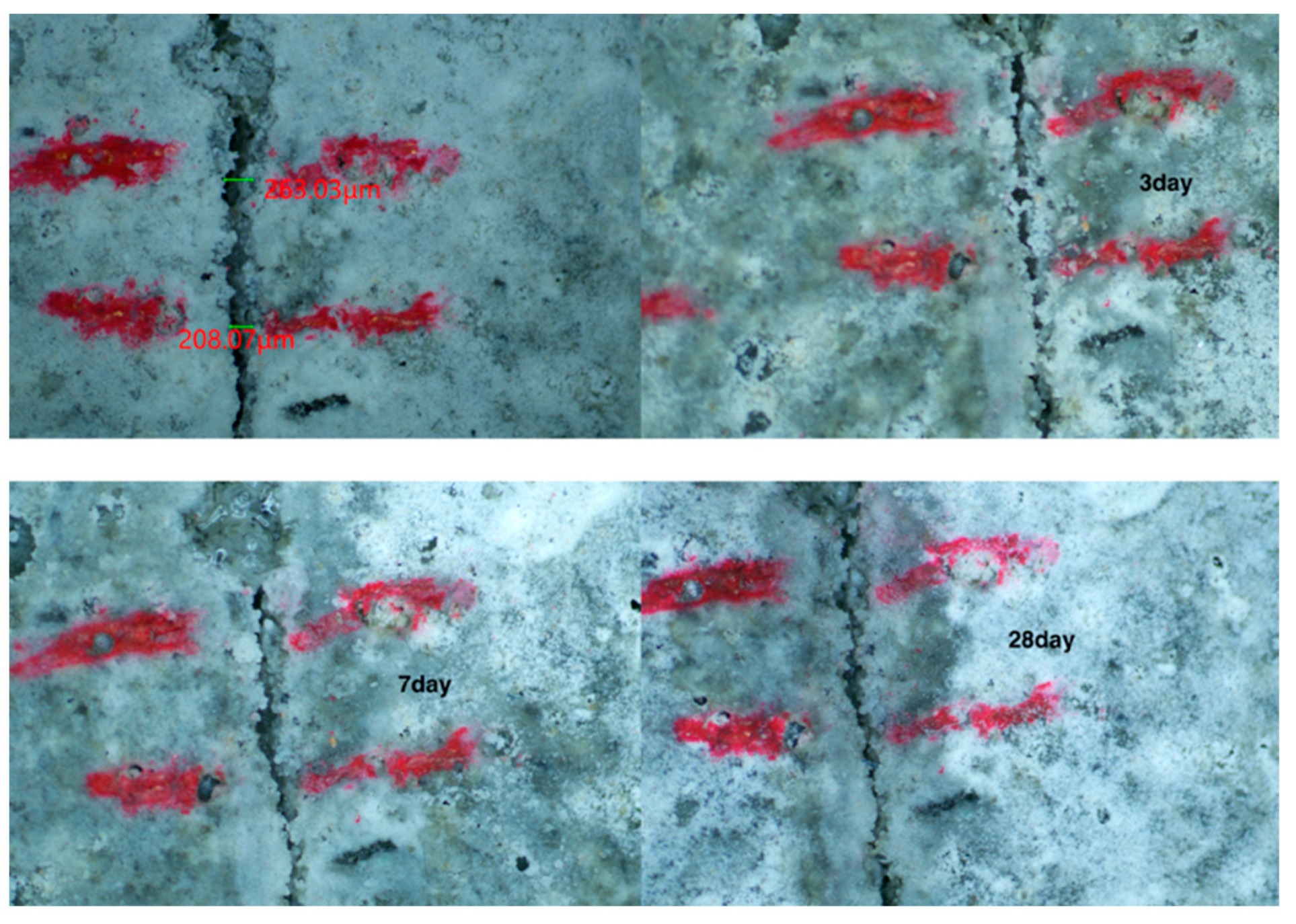 Materials 15 06040 g007