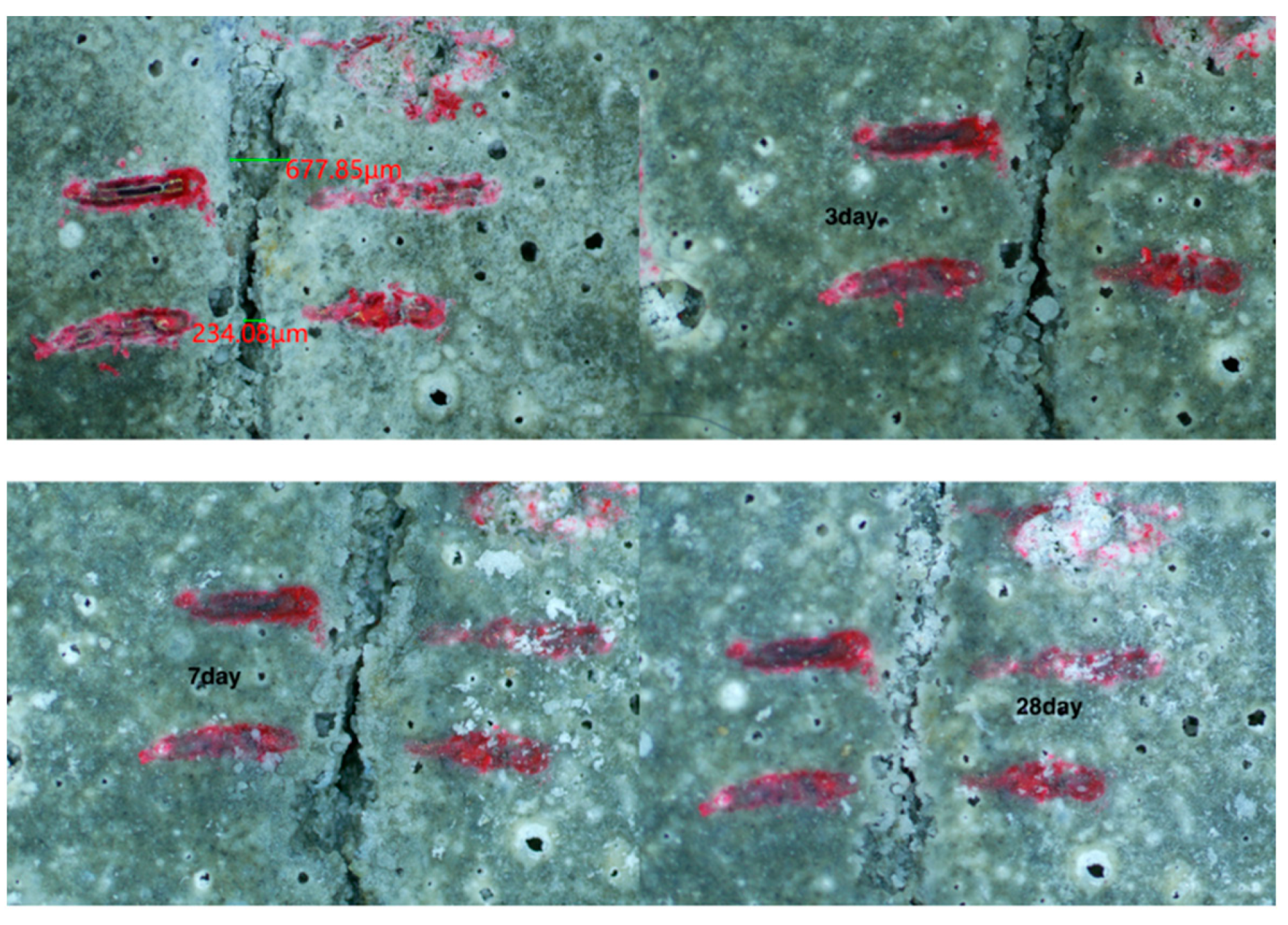 Materials 15 06040 g008