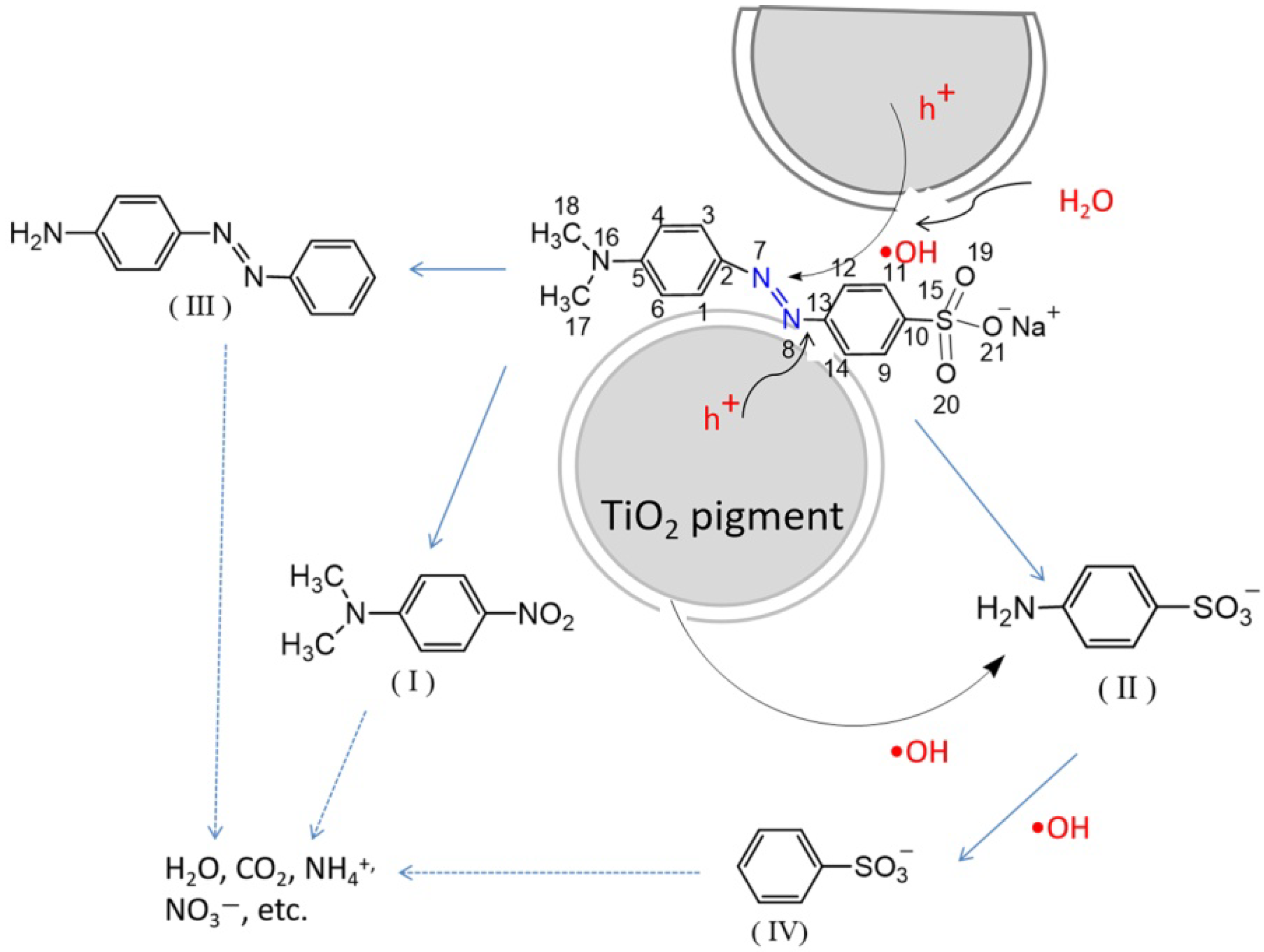 Materials 15 06044 g008 550