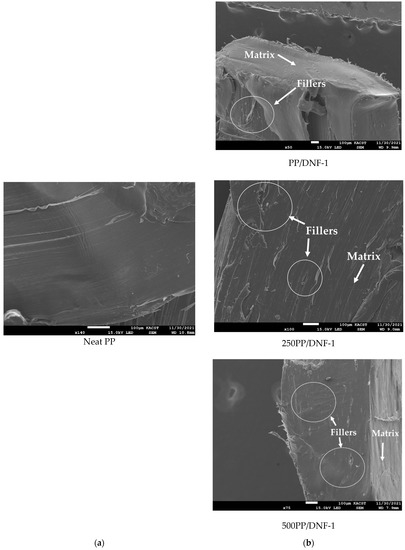 Effect of Accelerated Weathering on the Thermal, Tensile, and ...