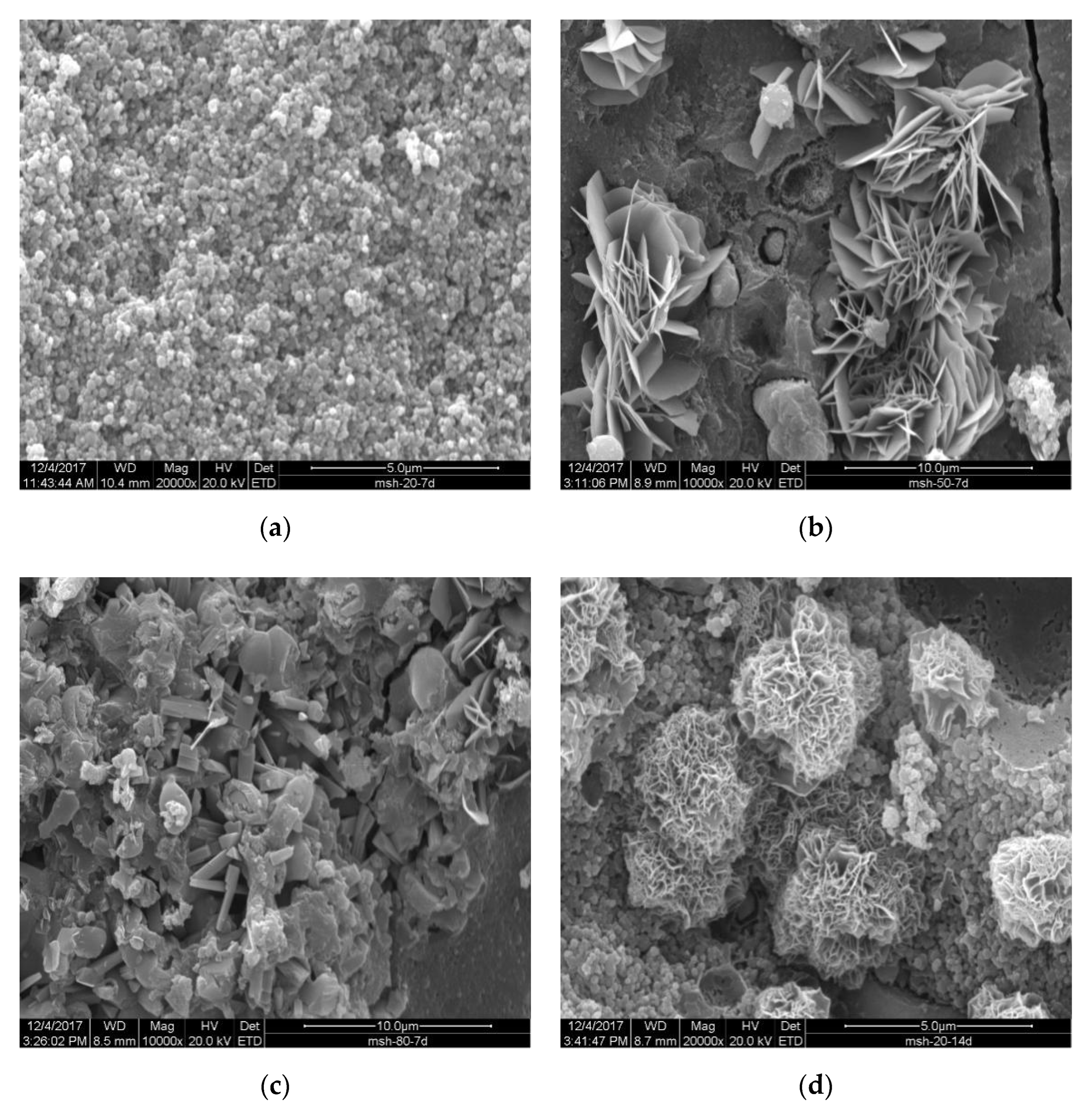 Materials 15 06065 g019 550