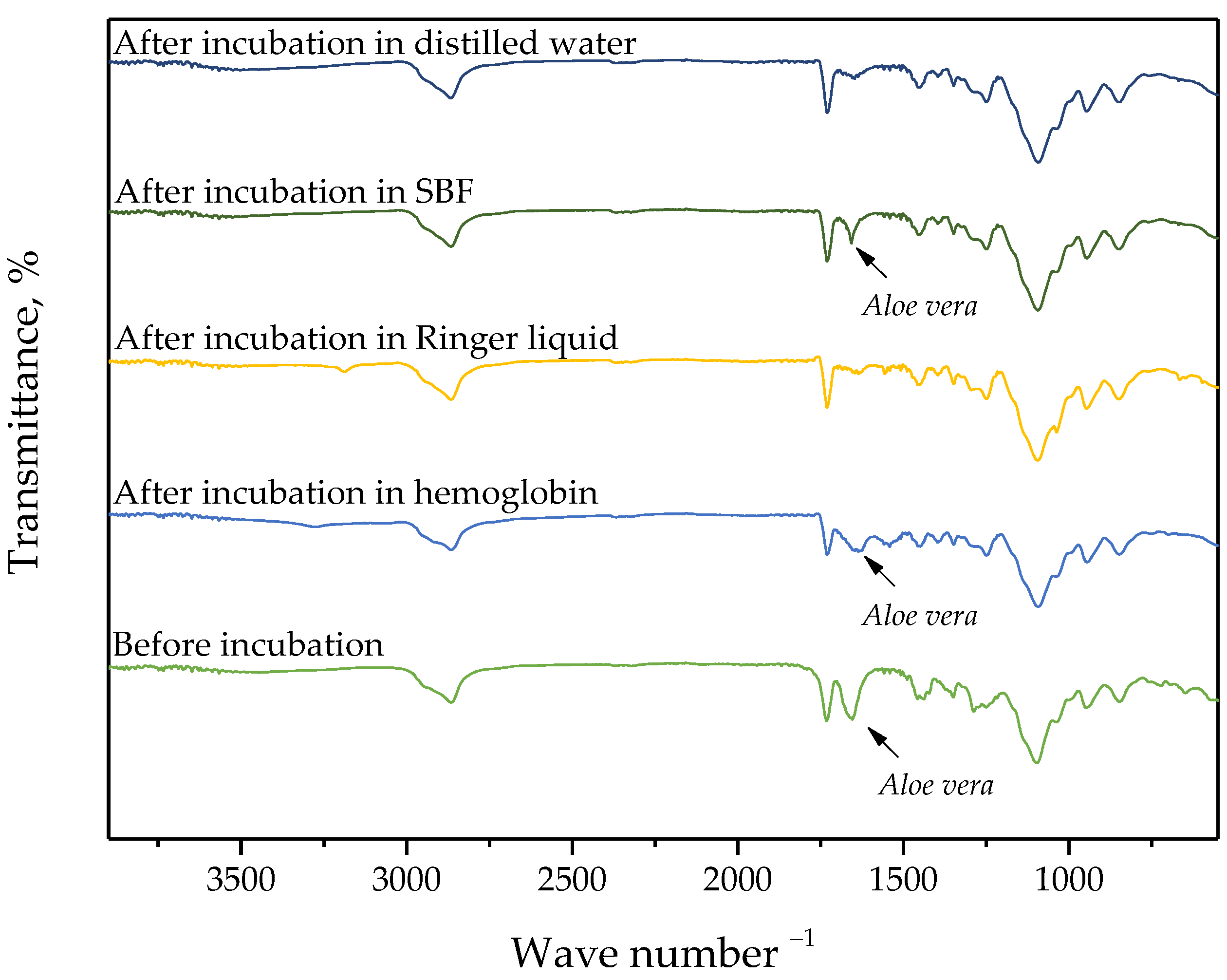 Materials 15 06089 g005 550