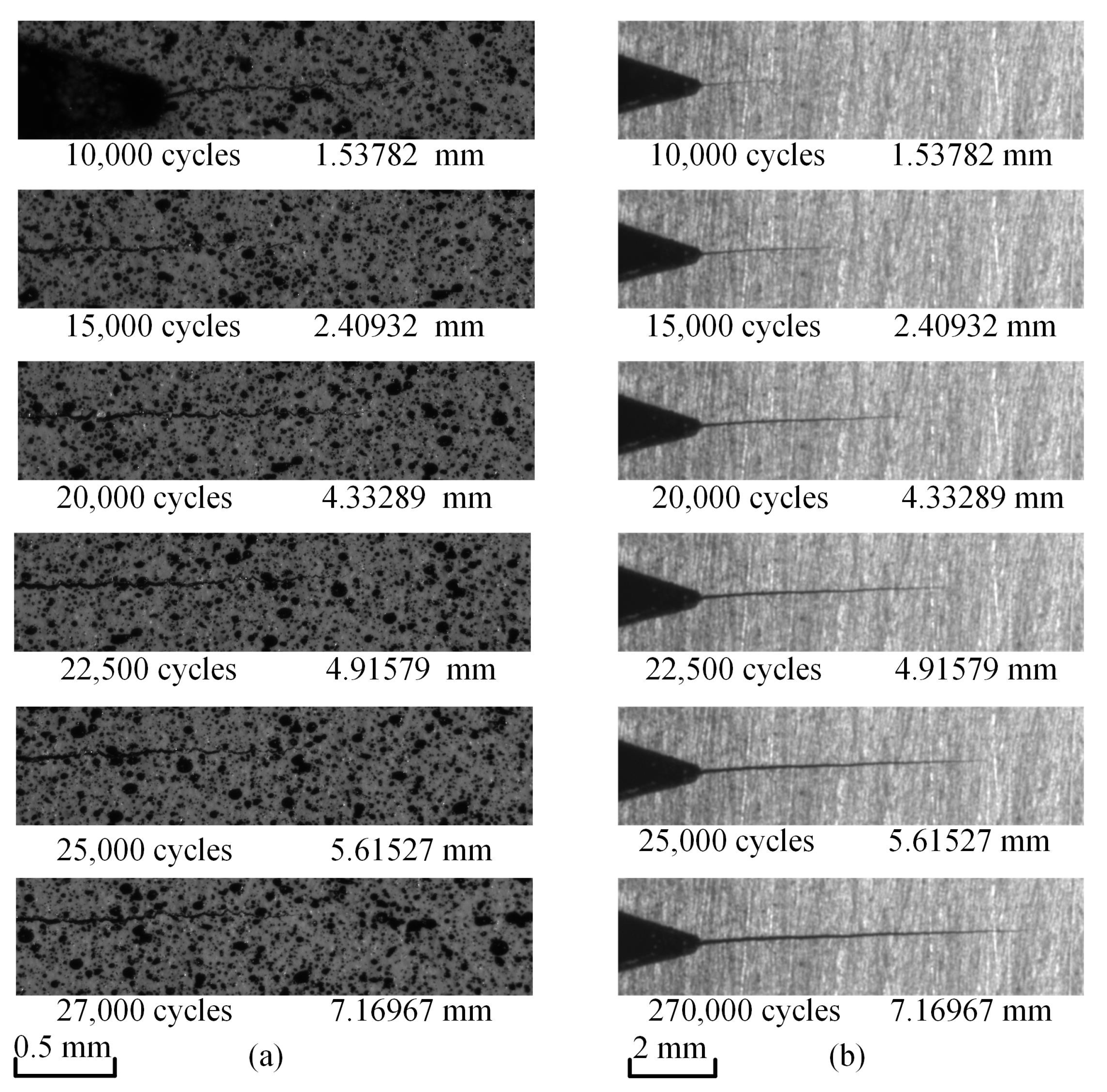 Materials 15 06114 g007