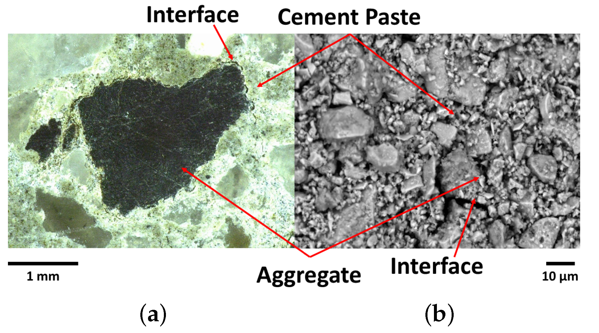 Materials 15 06151 g001 550