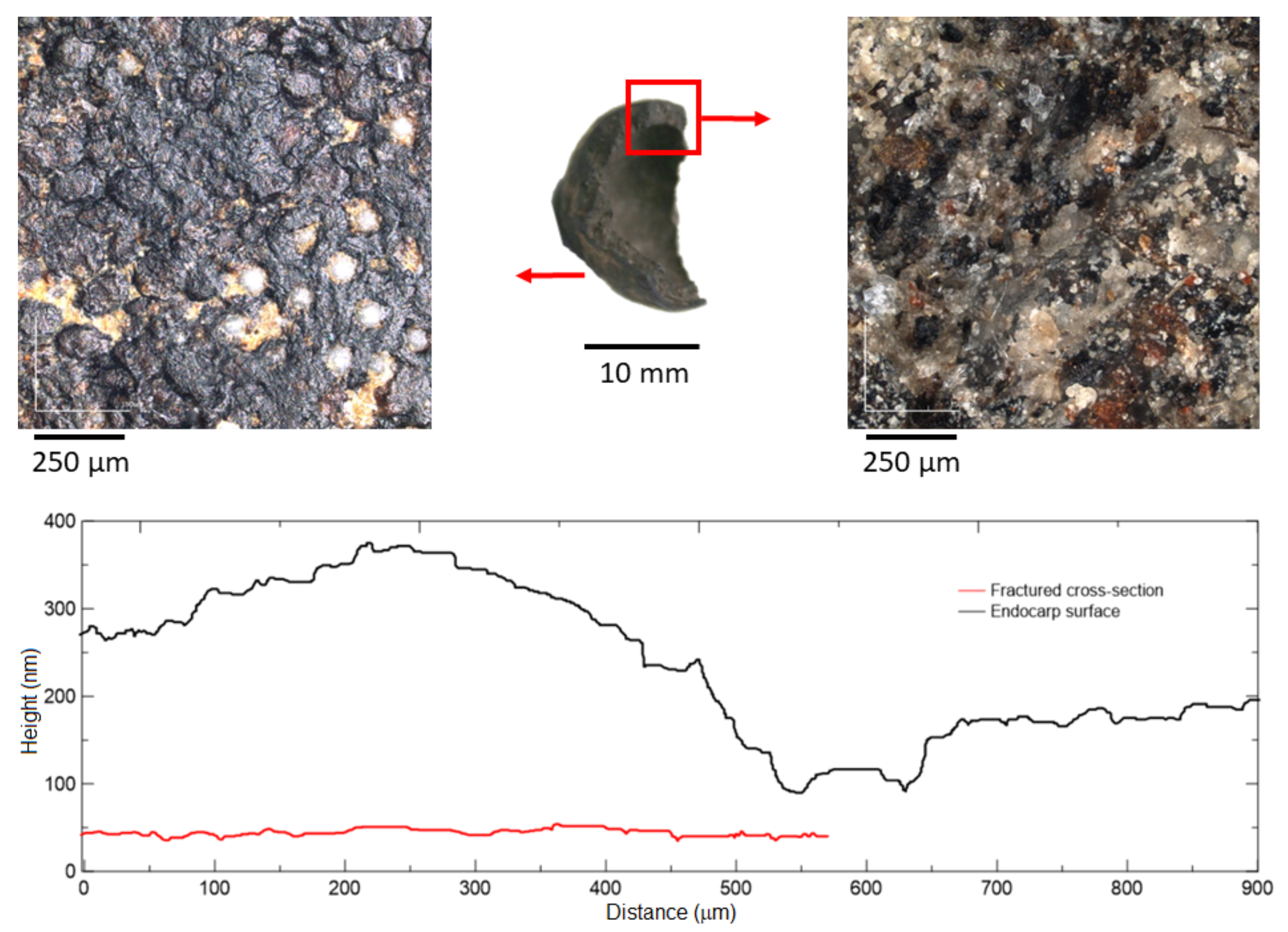 Materials 15 06151 g010 550