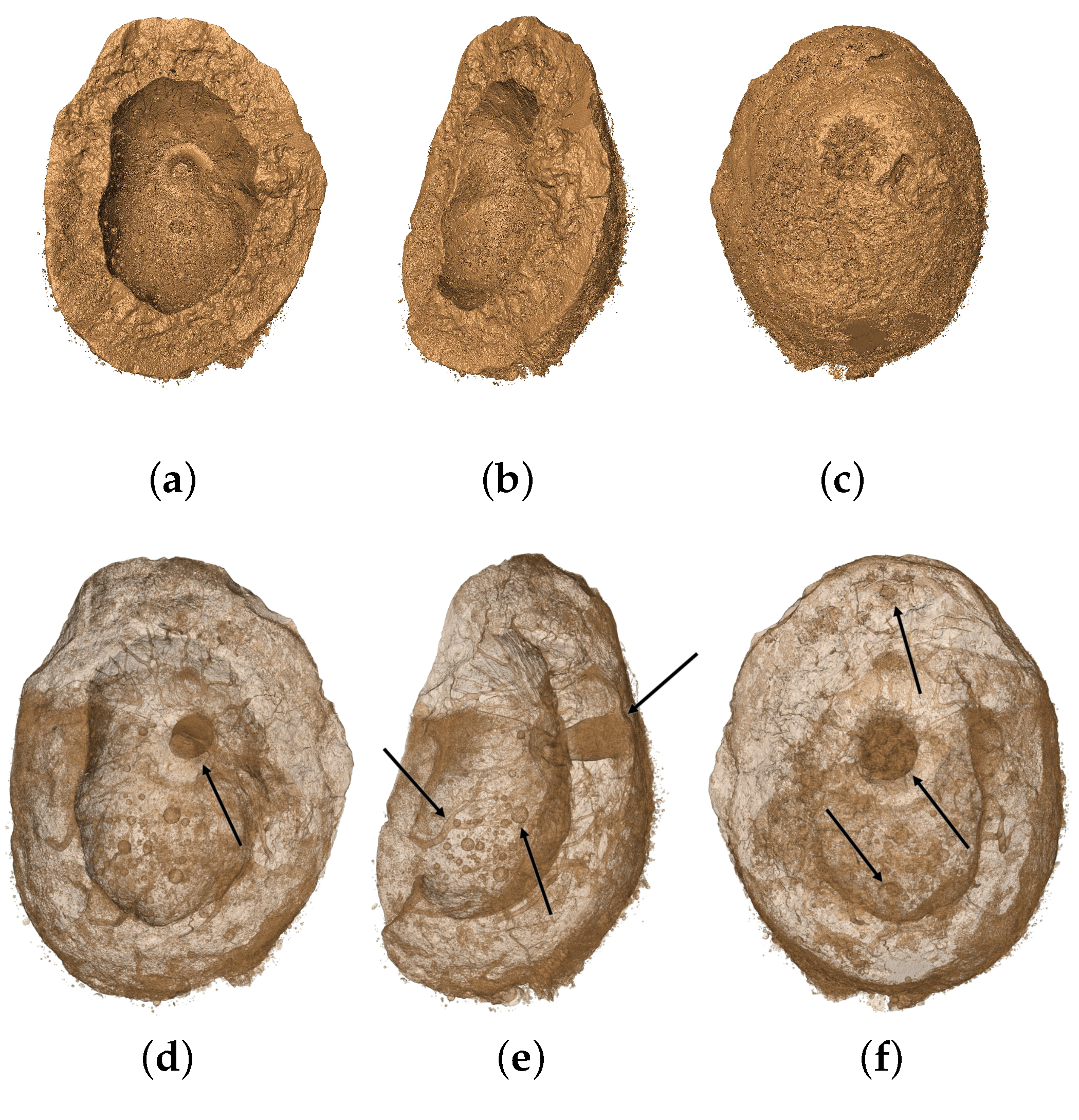 Materials 15 06151 g011 550