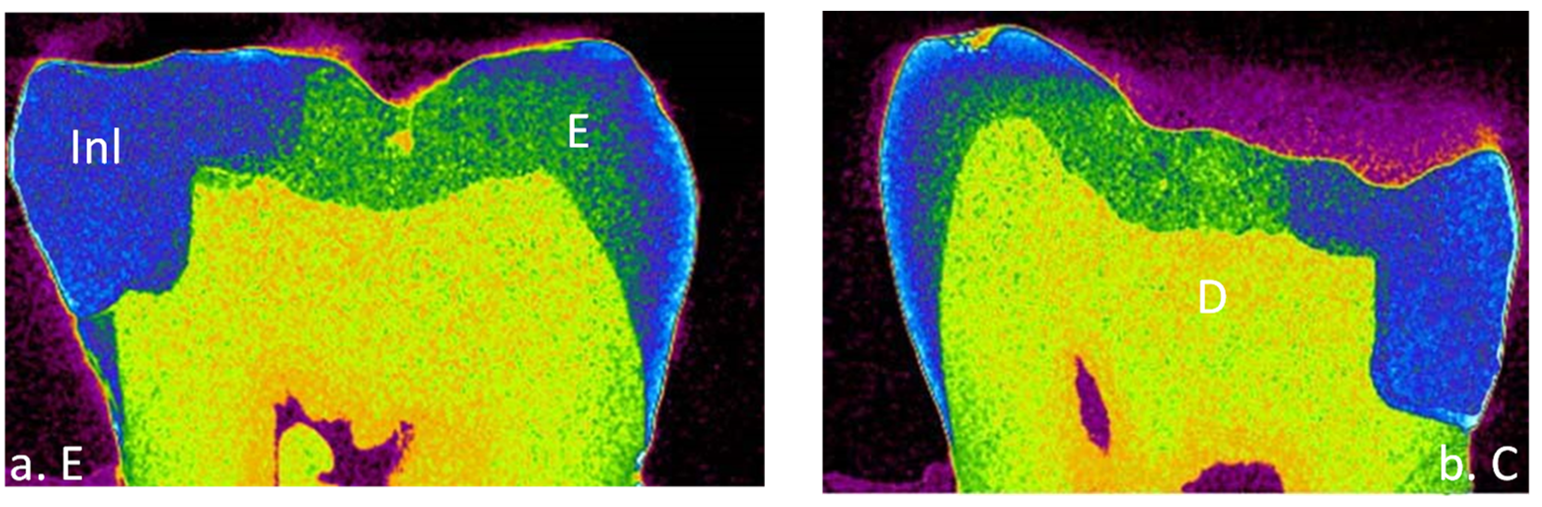 Materials 15 06161 g002 550