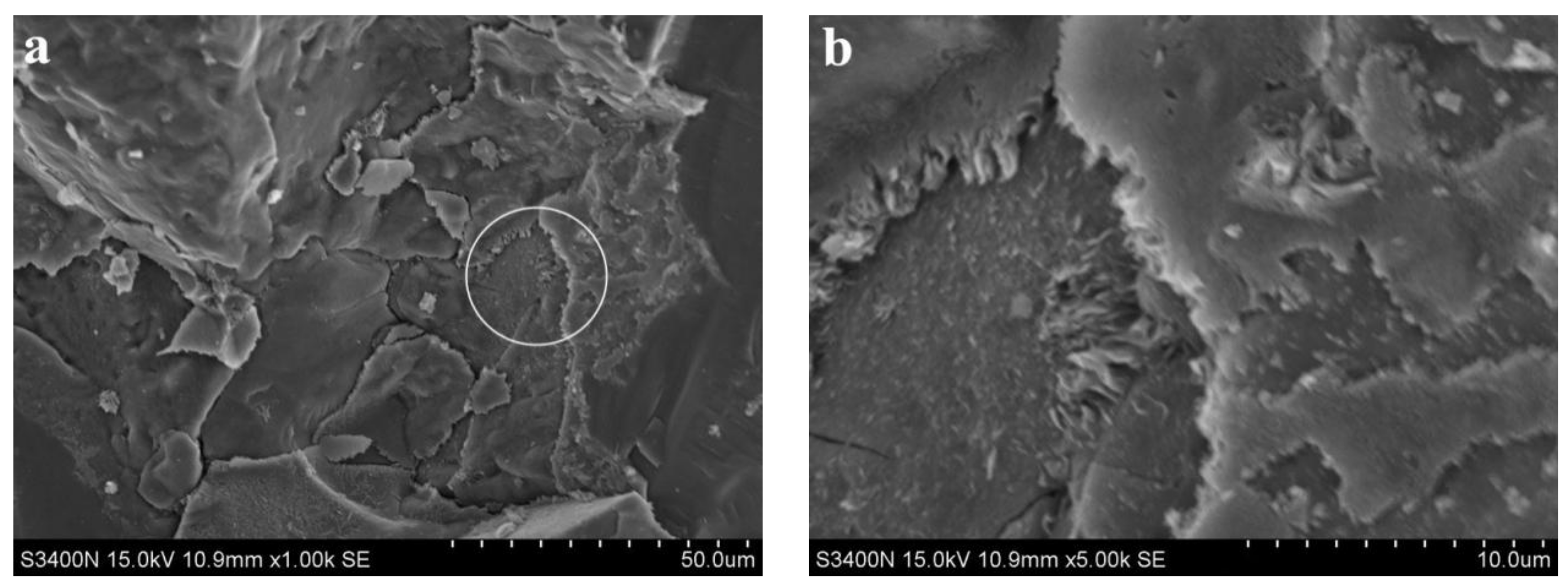 Materials 15 06169 g008 Materials 15 06169 g008