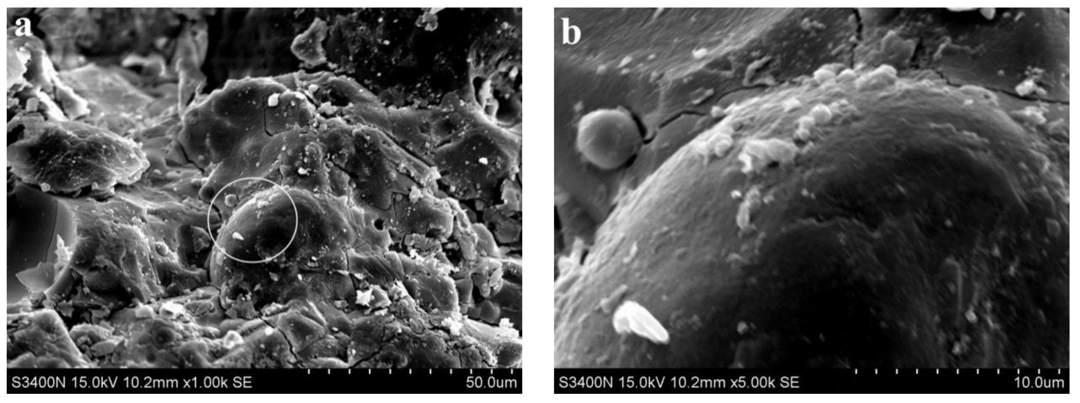 Materials 15 06169 g011 Materials 15 06169 g011