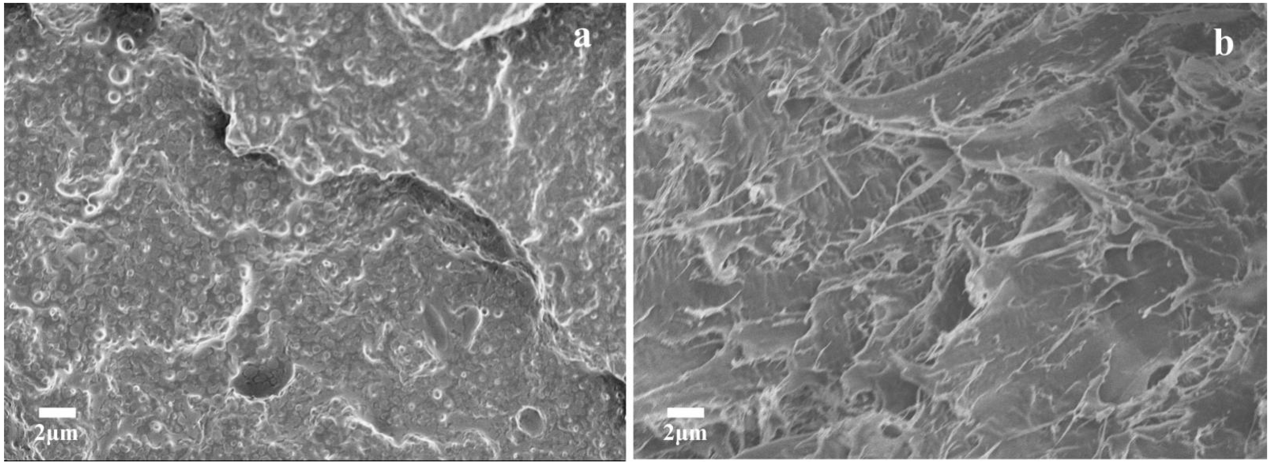 Materials 15 06179 g005 550