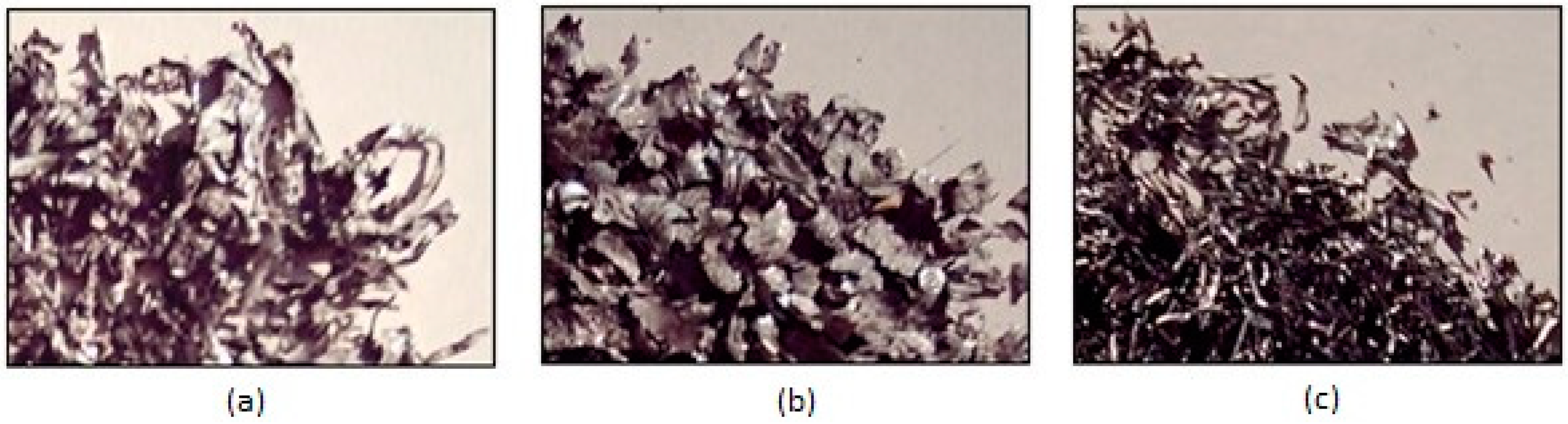 Materials 15 06190 g004 550