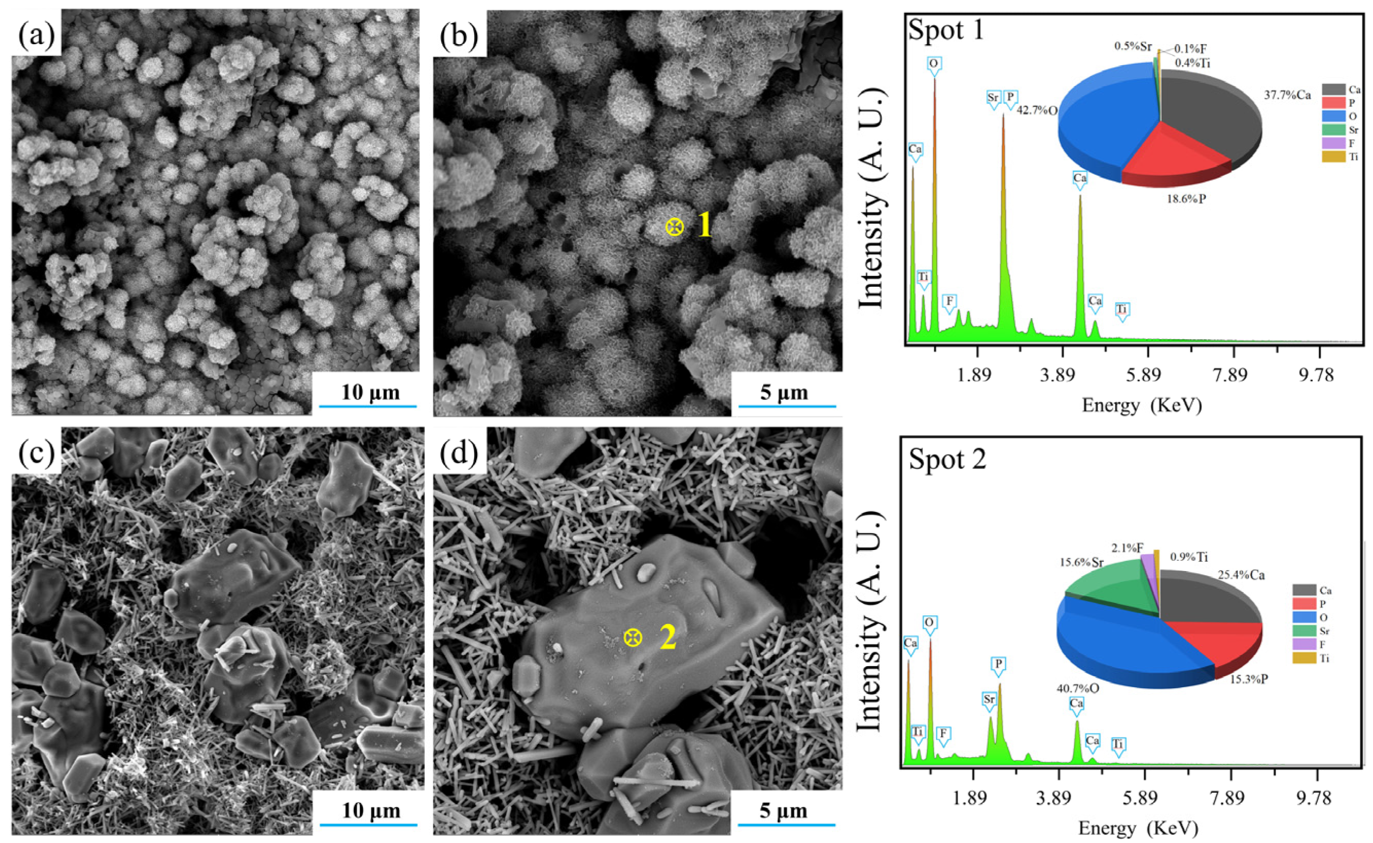 Materials 15 06206 g015 550