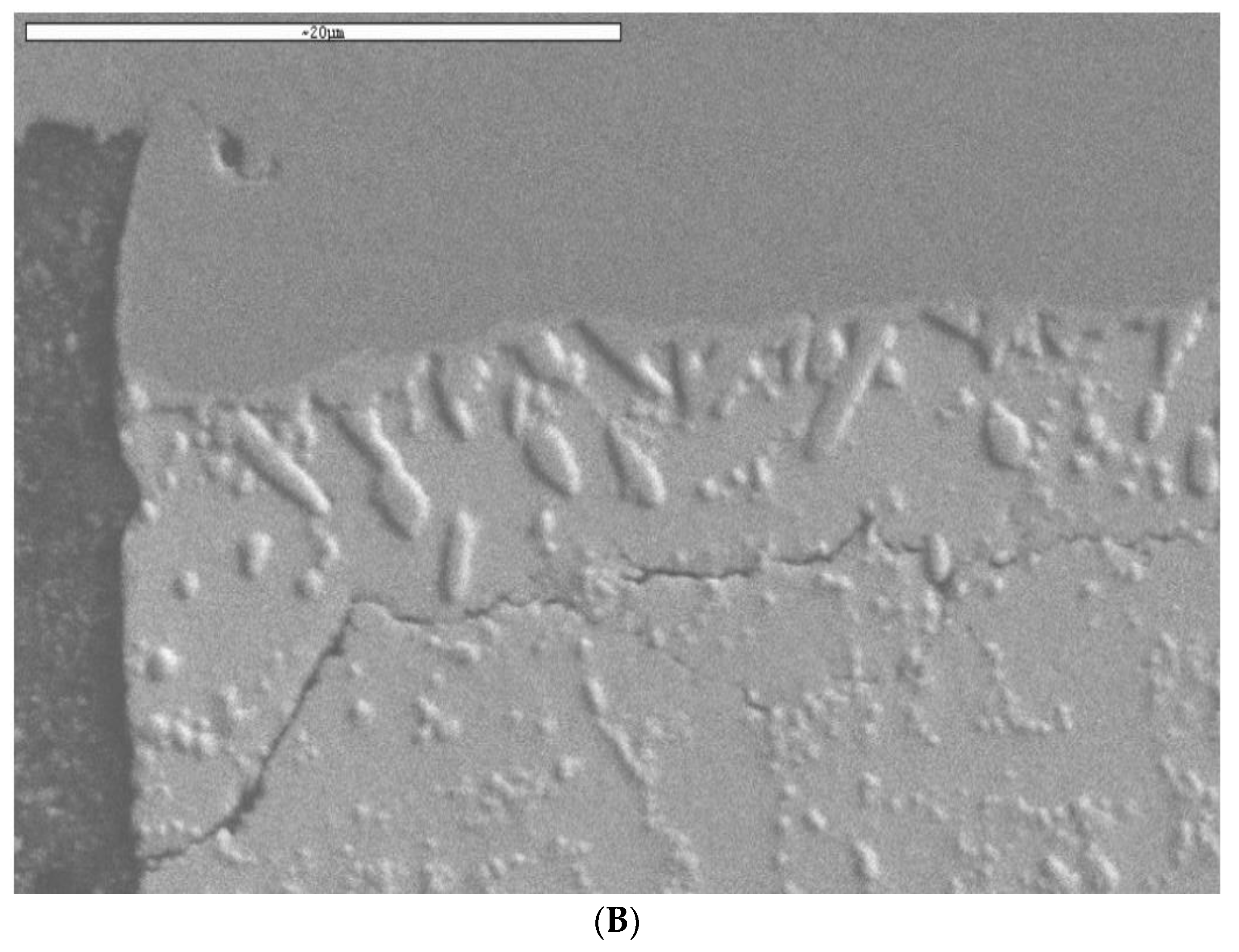 Materials 15 06208 g015b